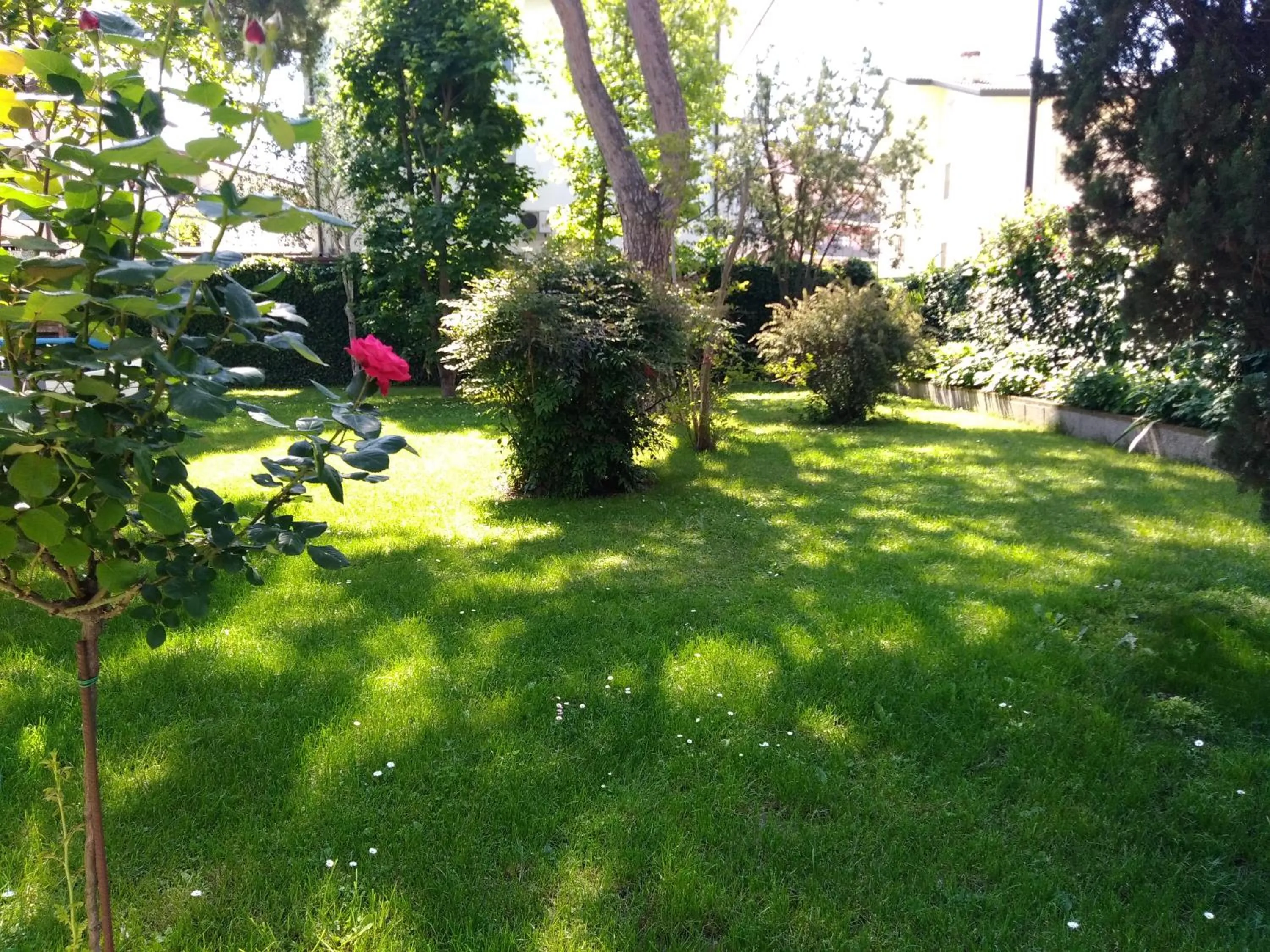 Garden in B&B and Sail