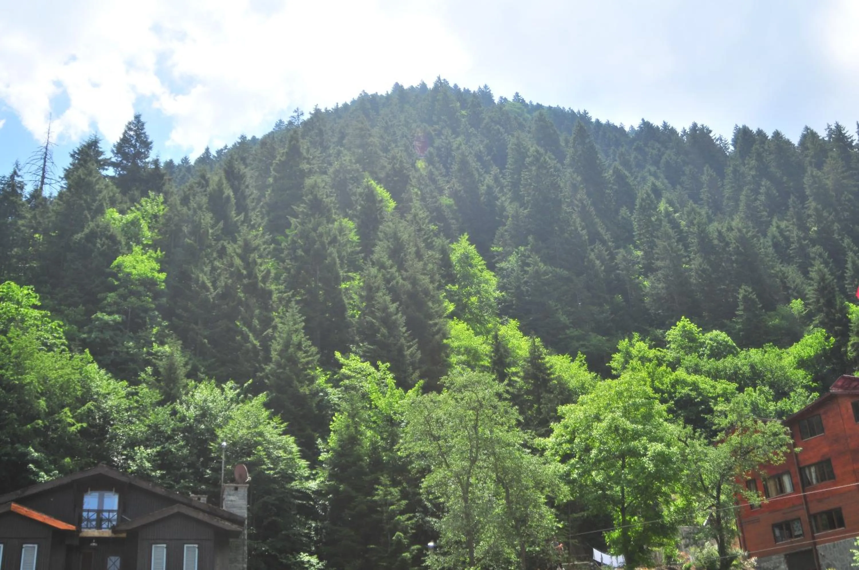 Property building in DİLEK SUIT&CAFE