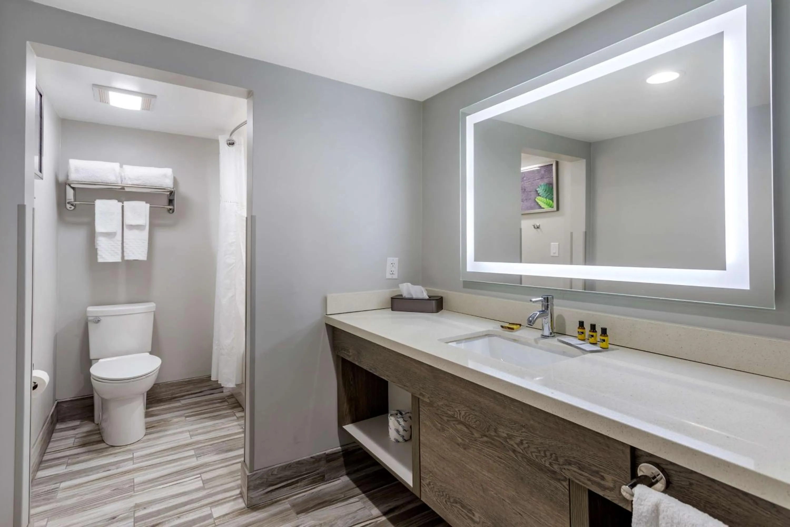 Bathroom in Best Western Plus Apple Valley Lodge Pigeon Forge