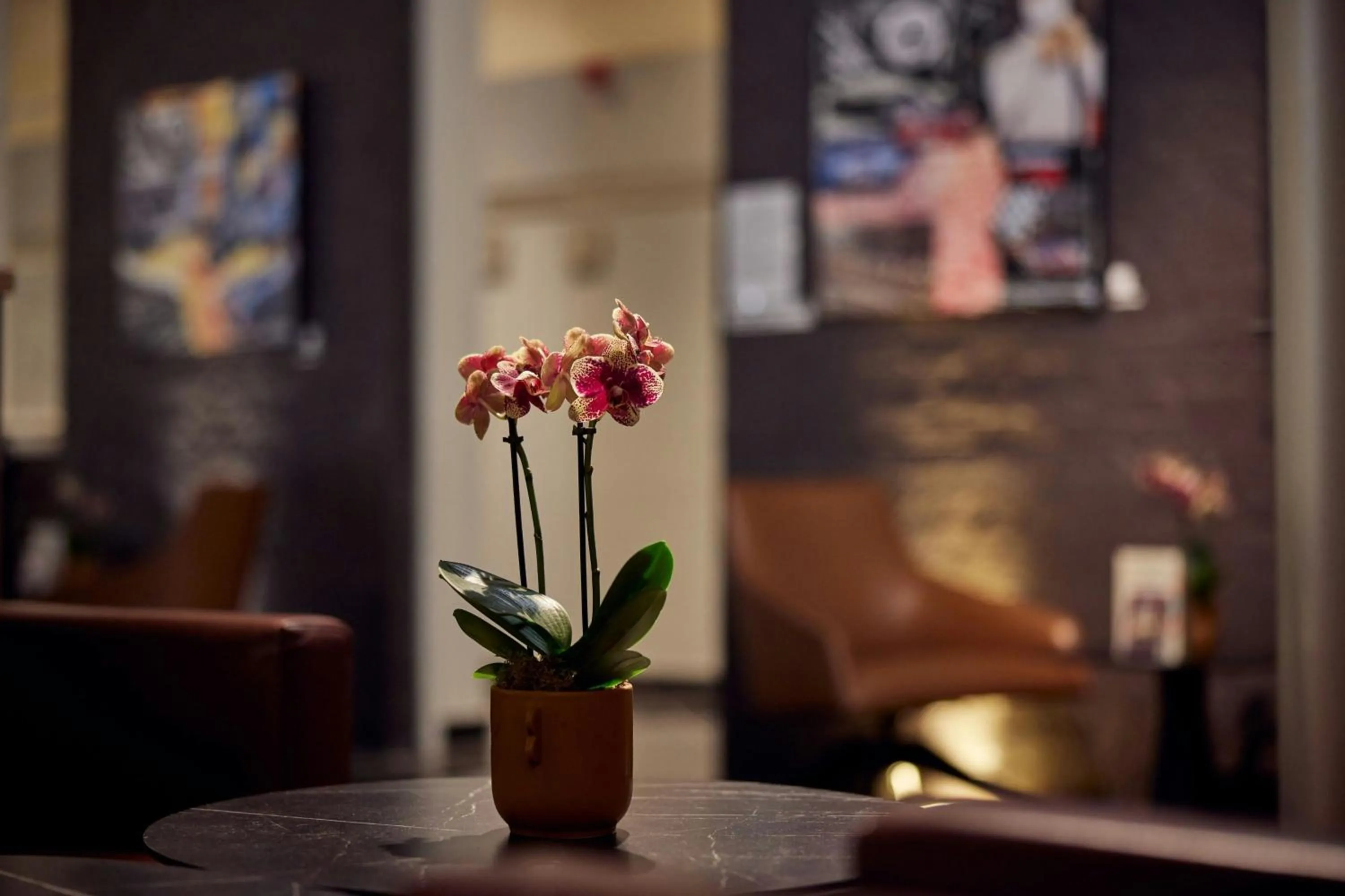 Restaurant/places to eat in L'Hermitage Gantois, Autograph Collection