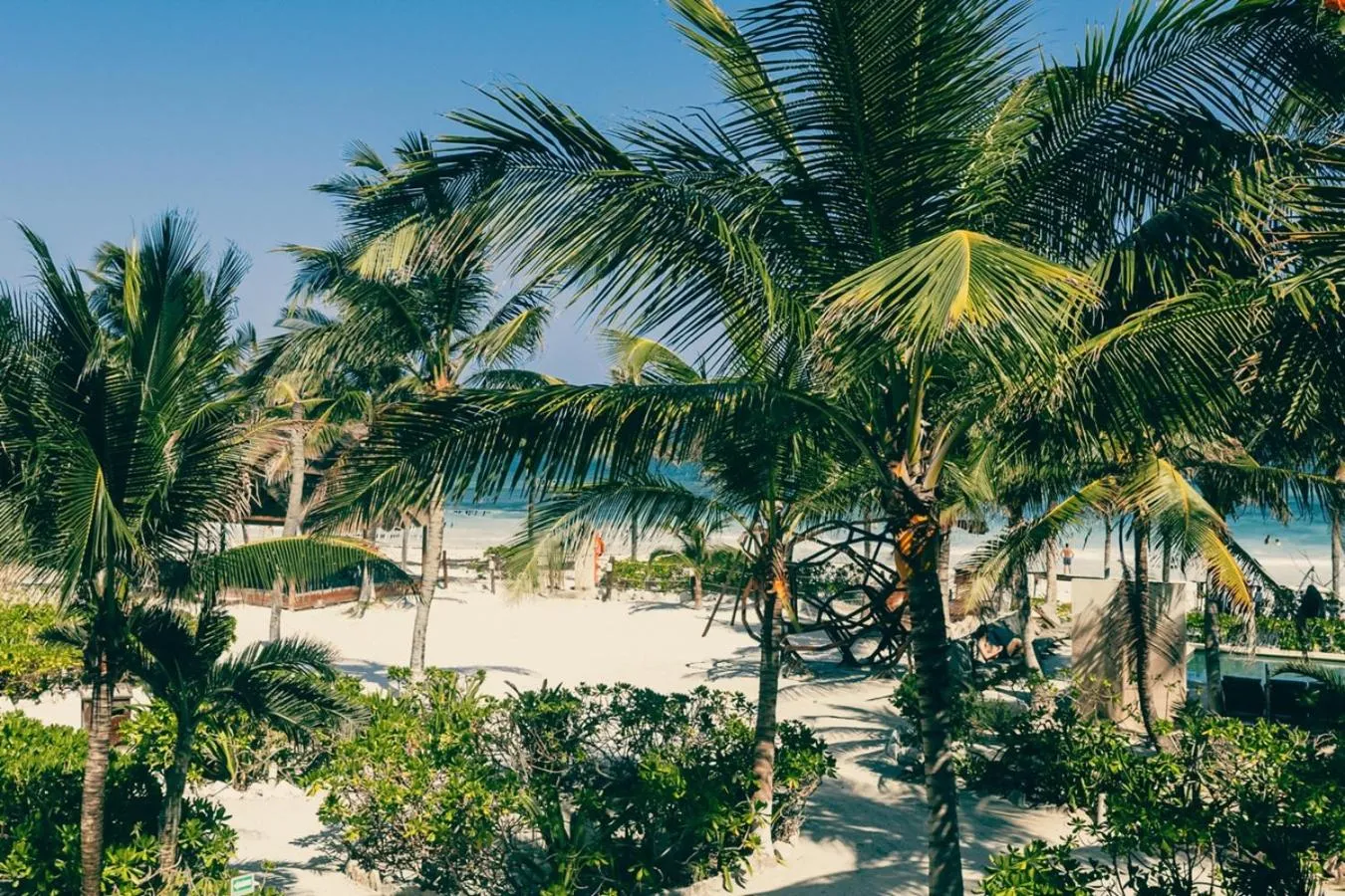 Nearby landmark in Mia Tulum Beachfront Resort - Ocean View Suites and Beach Club