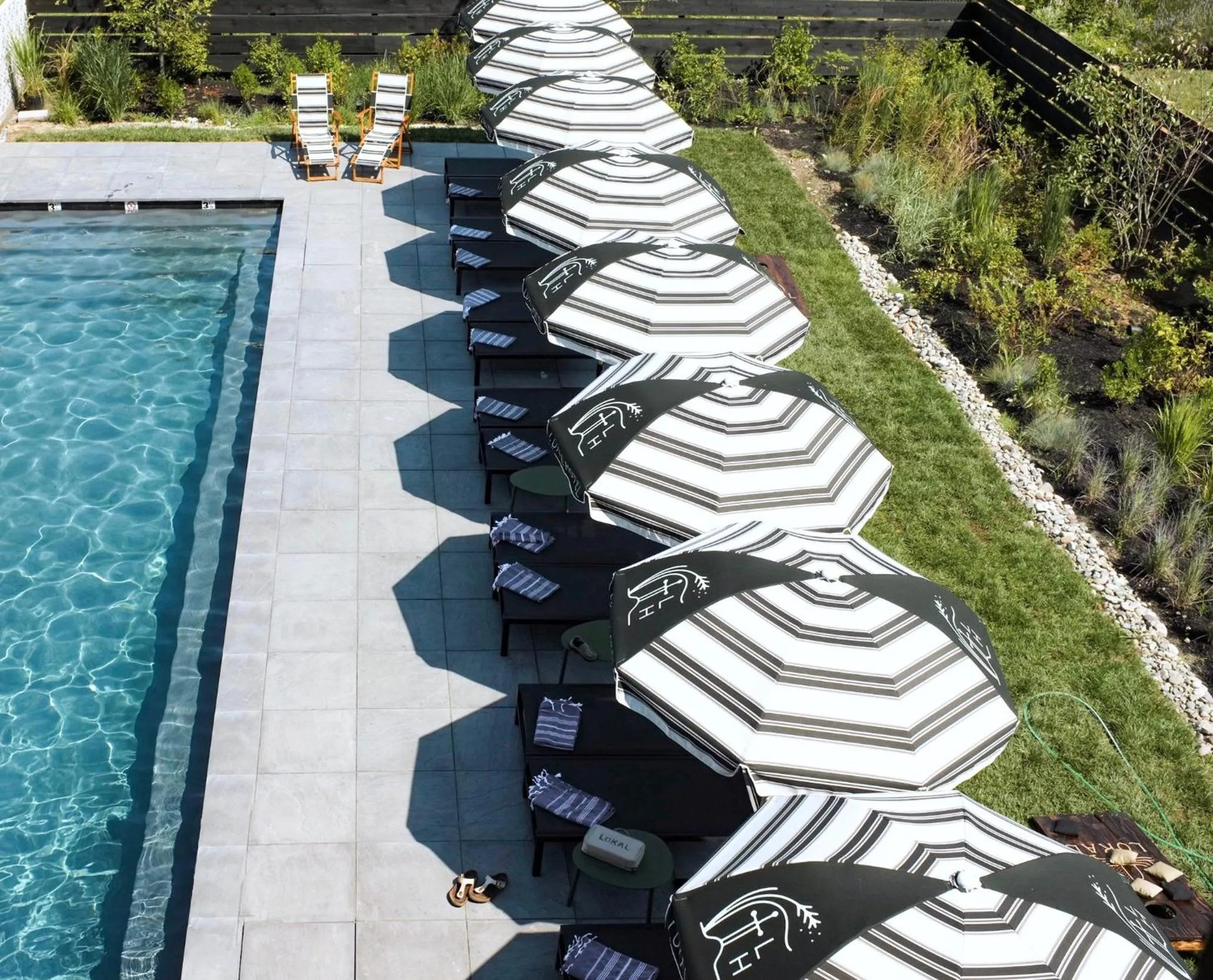 Pool view in Lokal Hotel Cape May