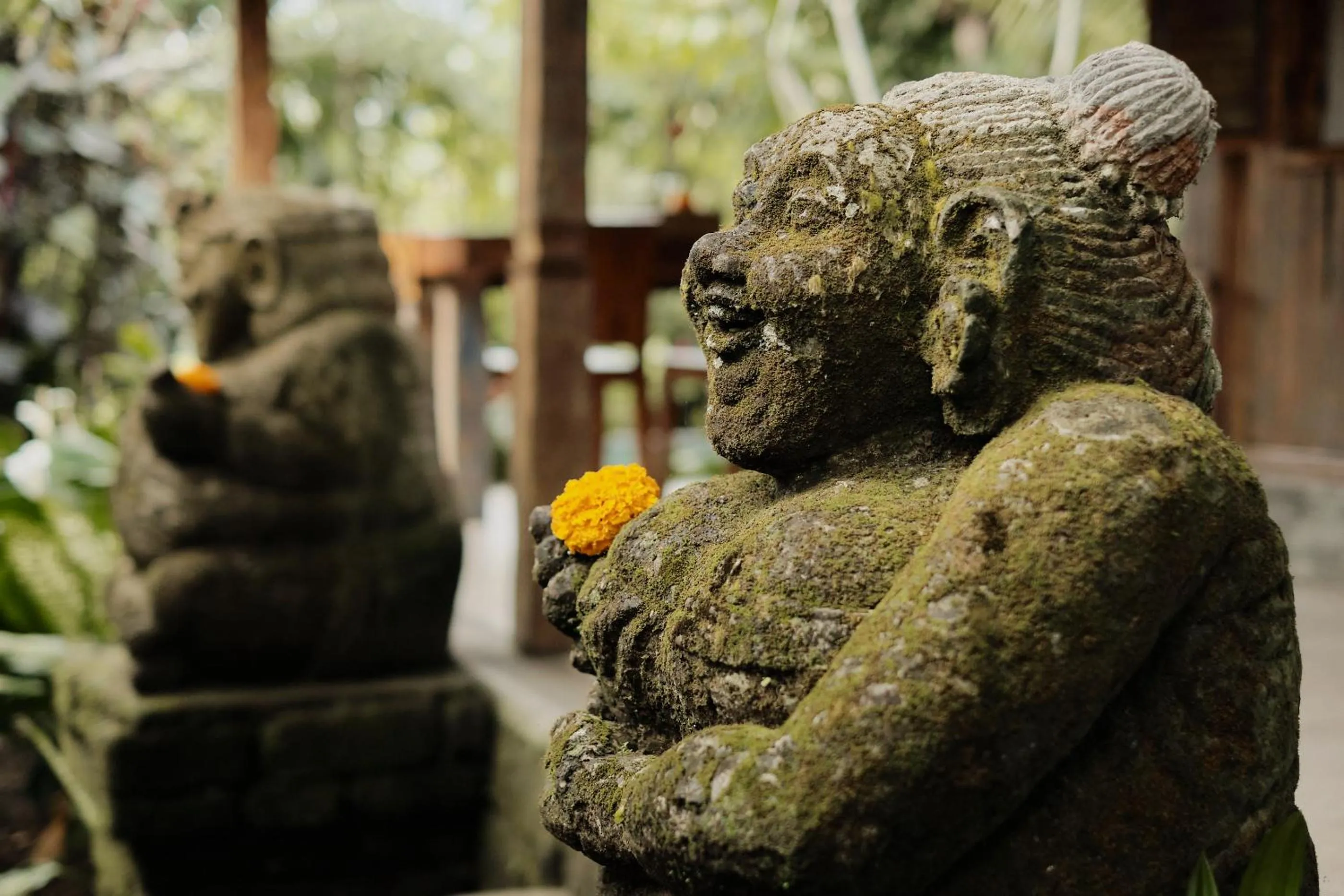 Garden in Moringa Ubud Villa