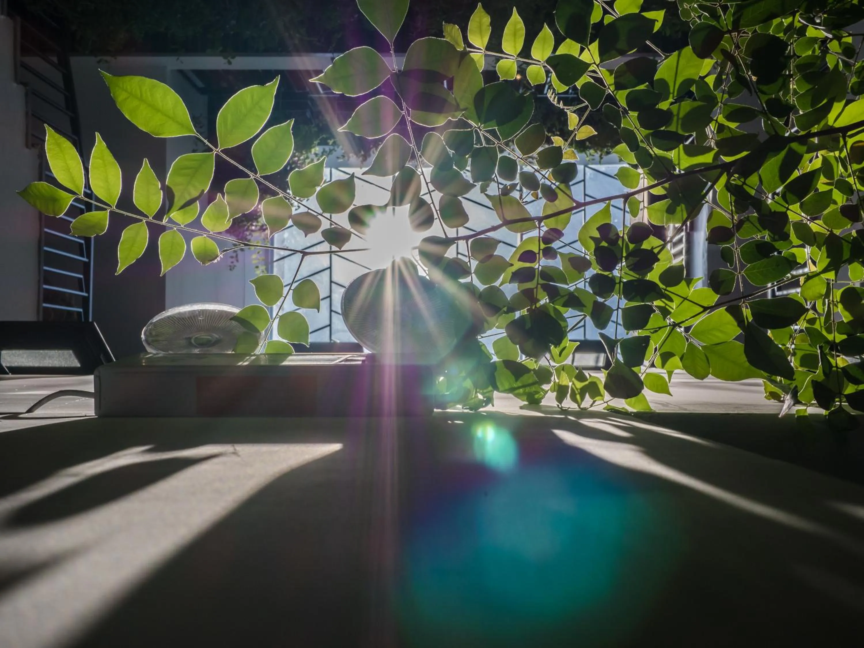 Seating area in Wings House