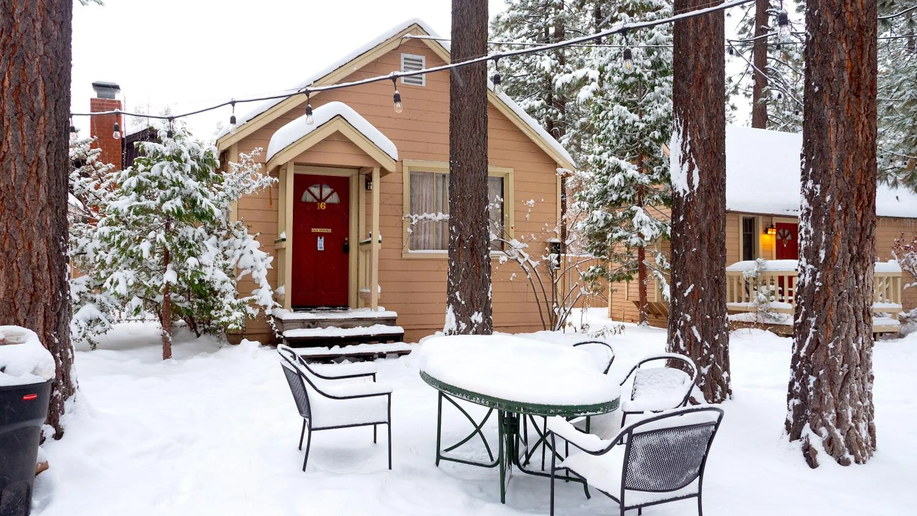 Sleepy Forest Cottages