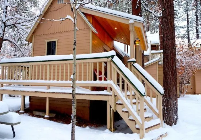 Sleepy Forest Cottages