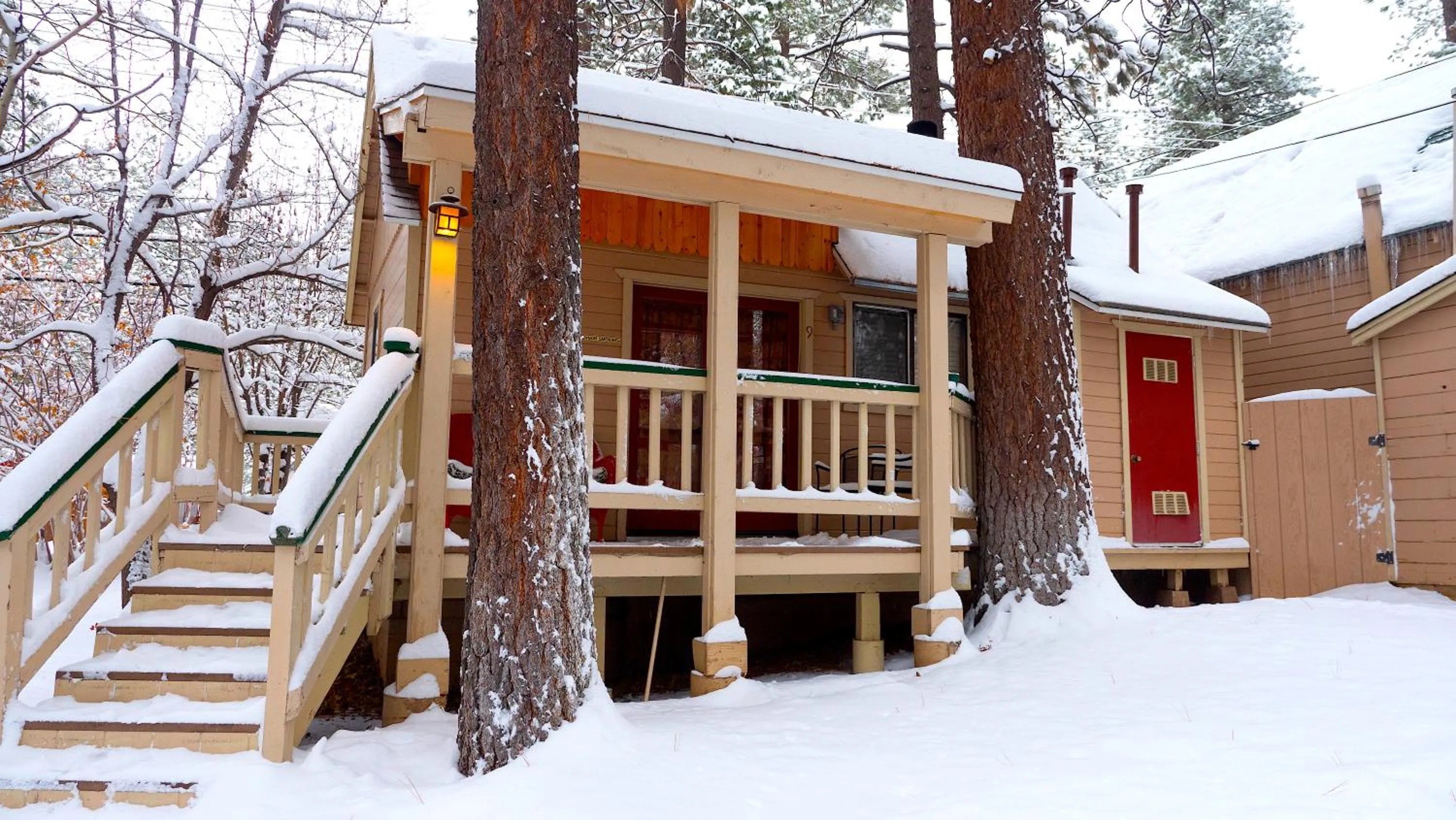 Sleepy Forest Cottages
