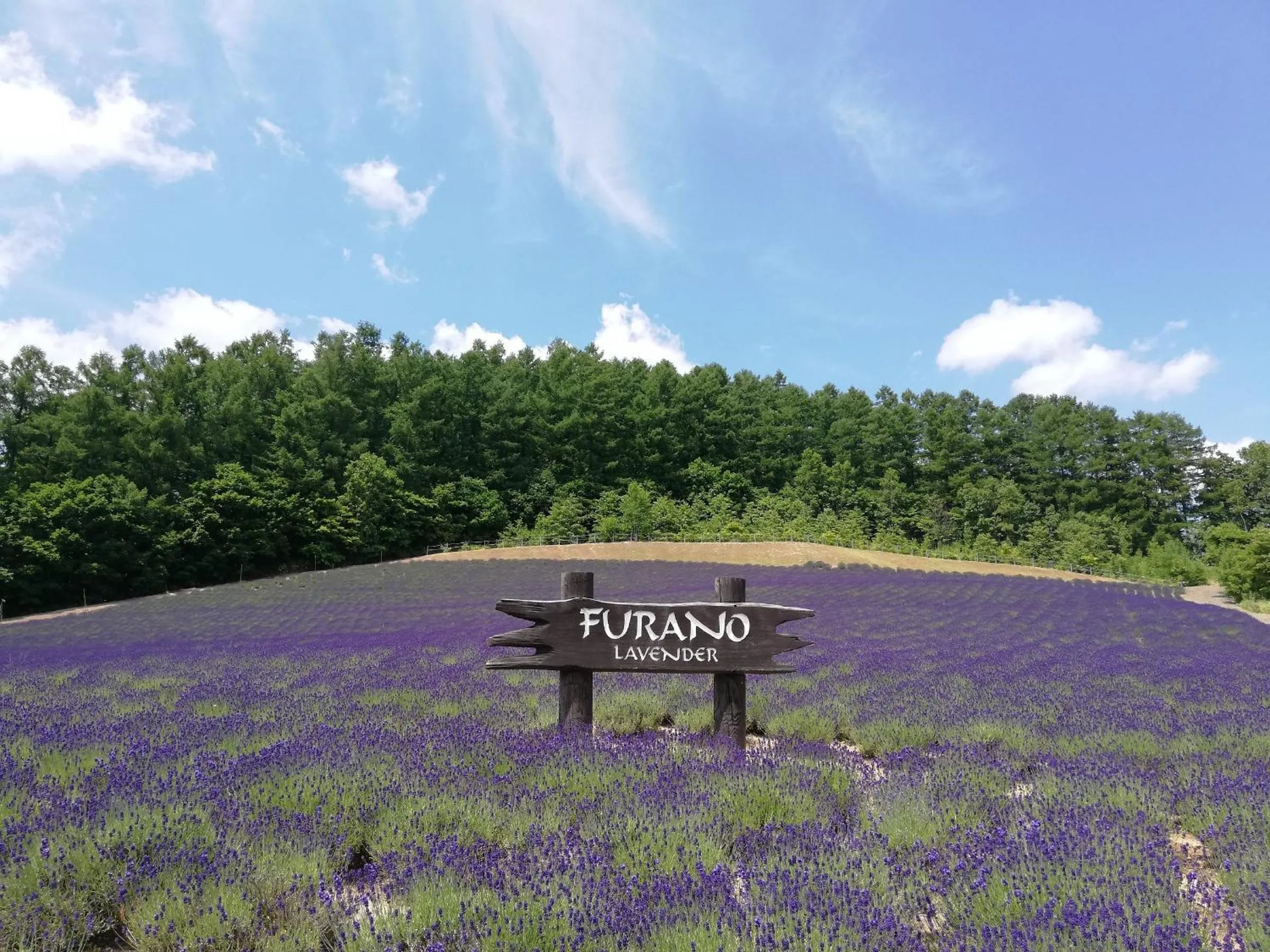 Nearby landmark in Hotel Hanafuji Inn