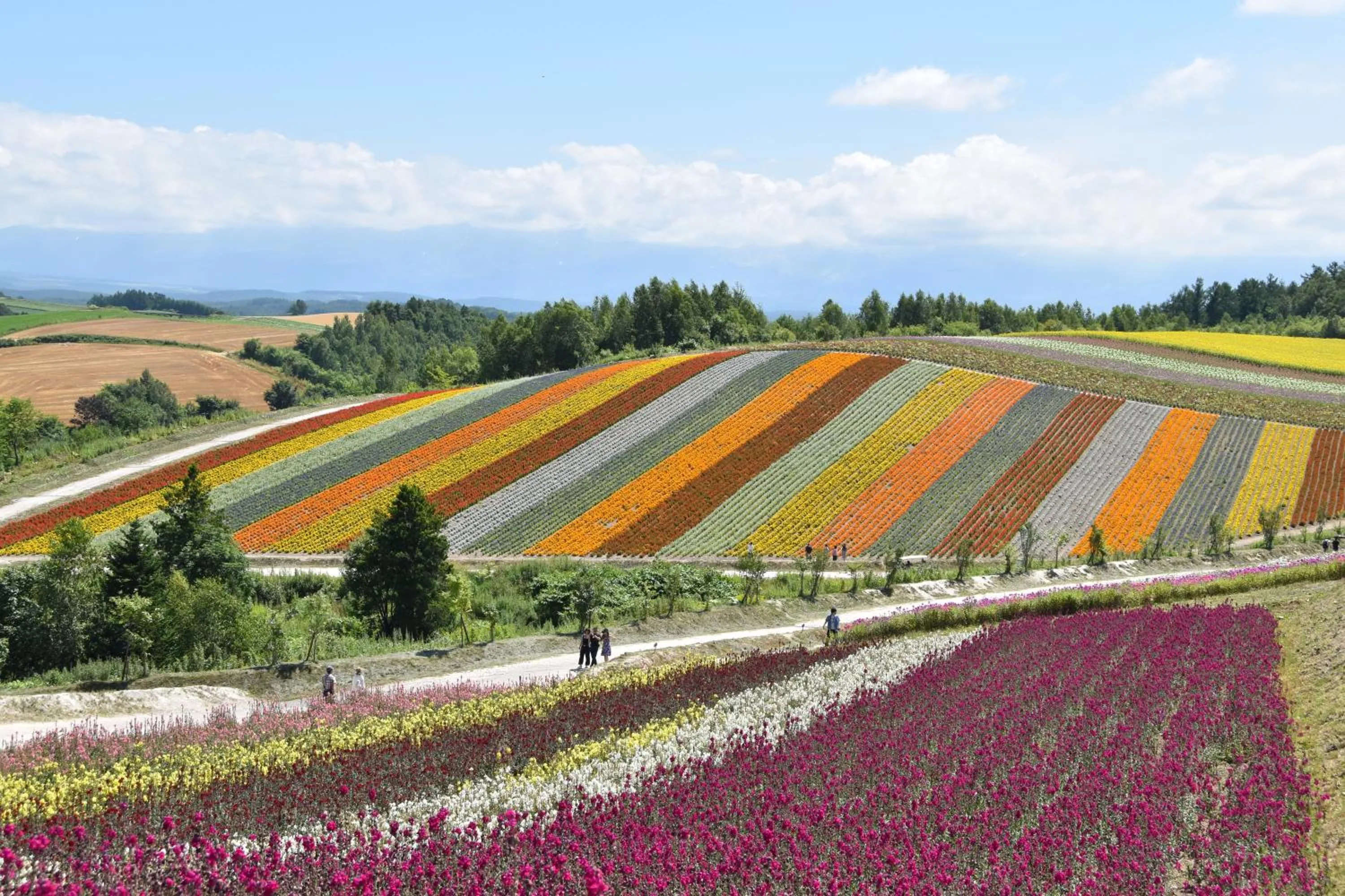 Off site in Hotel Hanafuji Inn