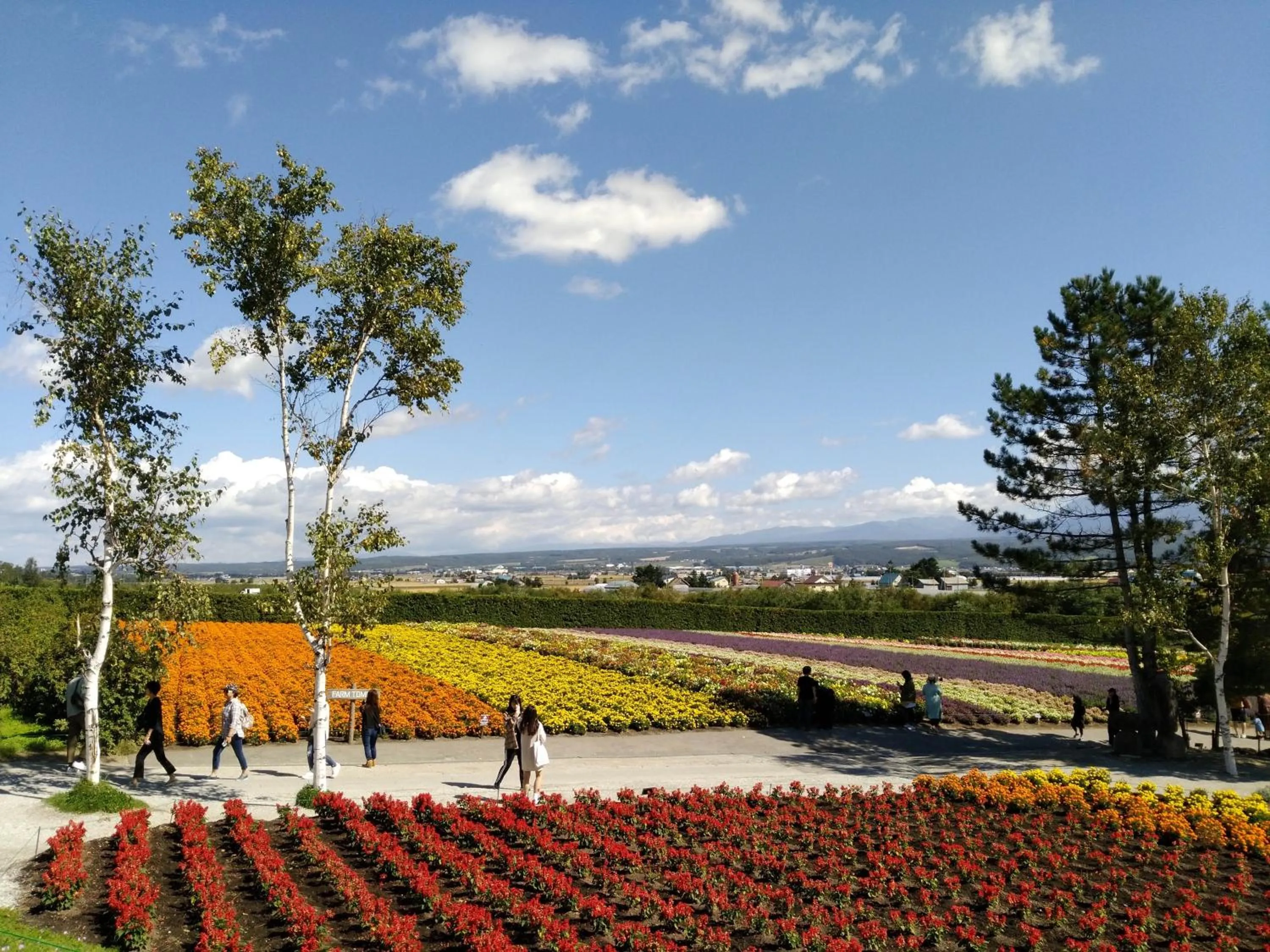 Off site in Hotel Hanafuji Inn