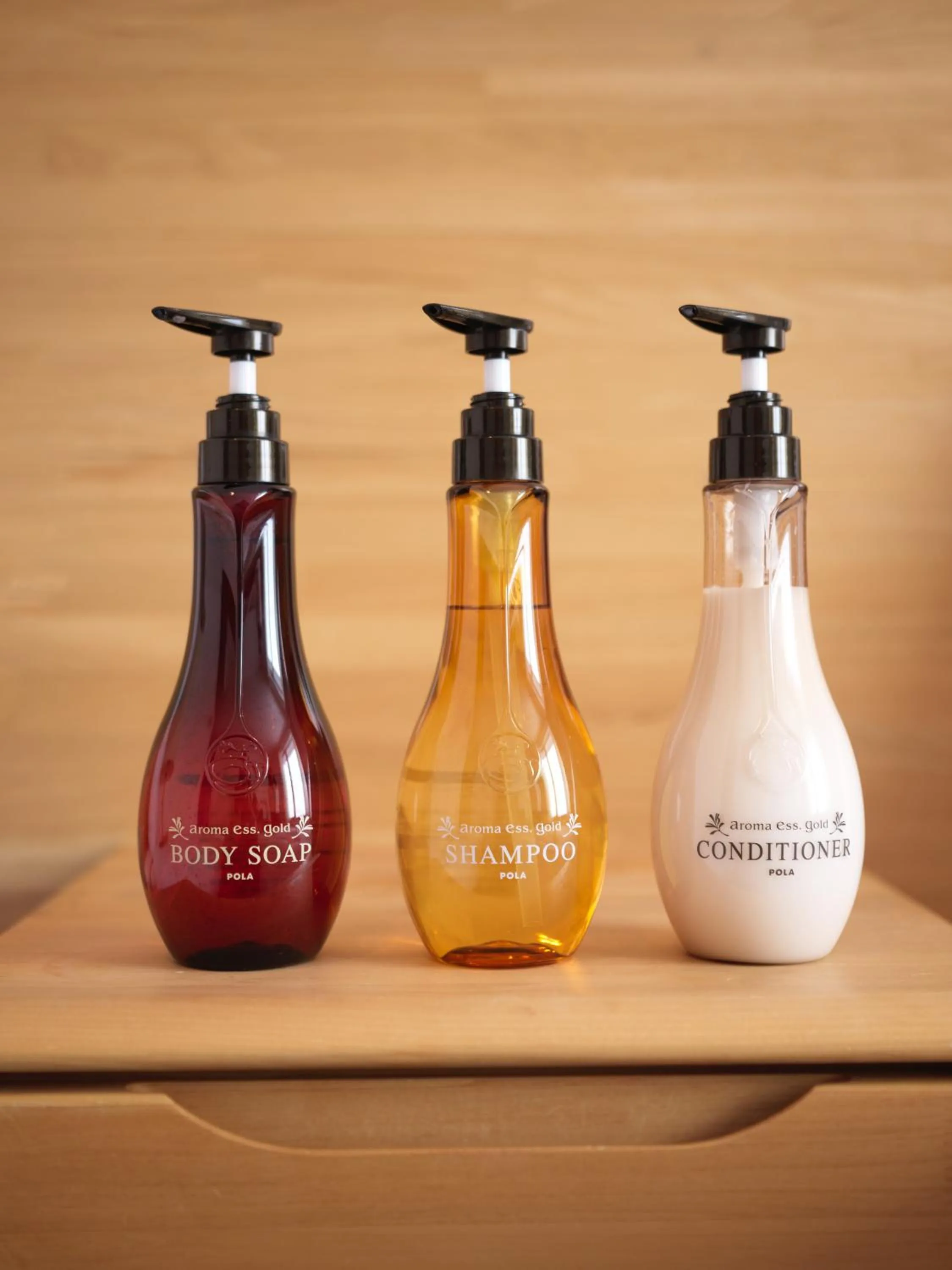 Shower in Hotel Hanafuji Inn