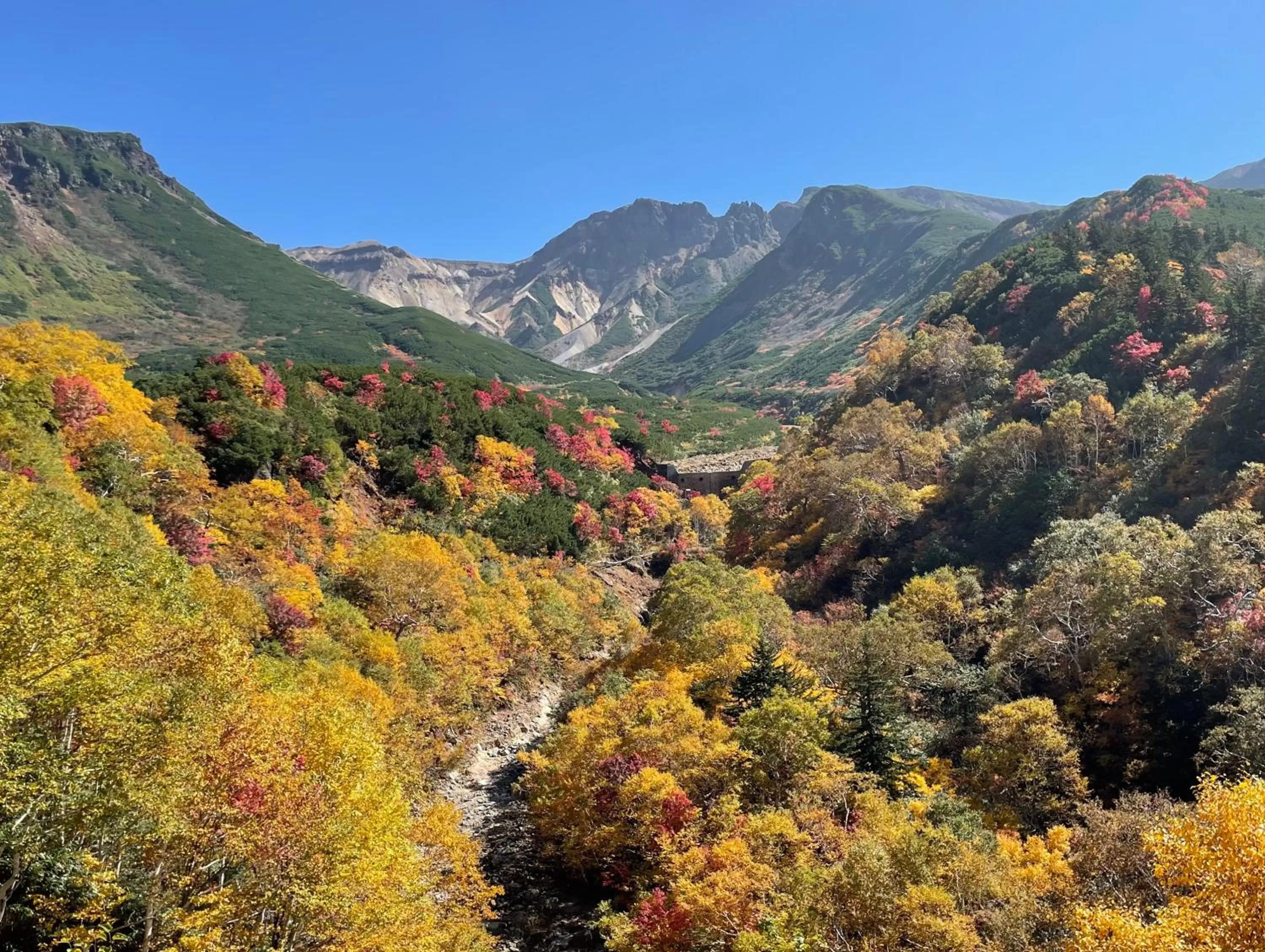 Nearby landmark in Hotel Hanafuji Inn
