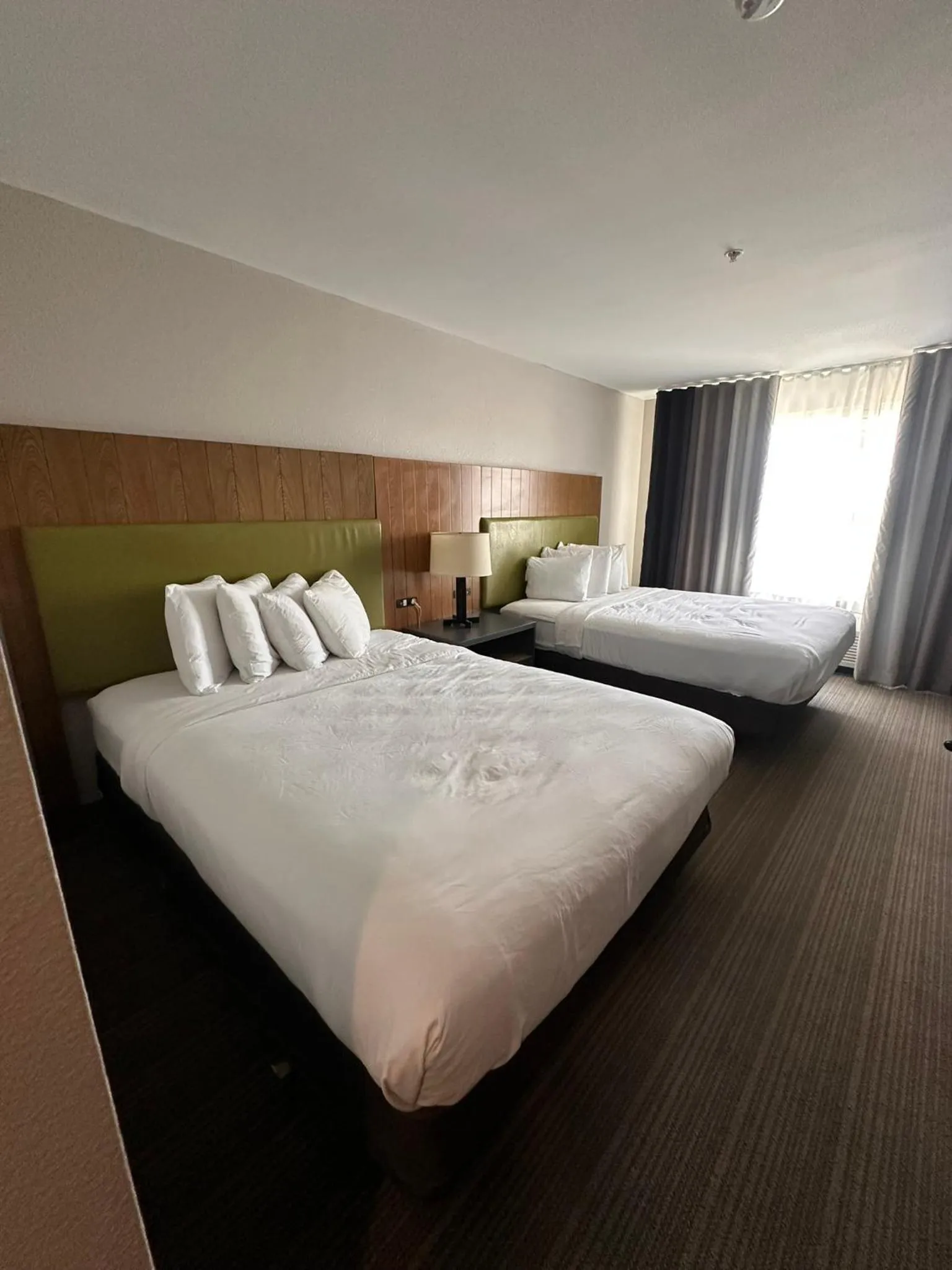 One-Bedroom Queen Suite - Non-Smoking in Spark by Hilton Summerville