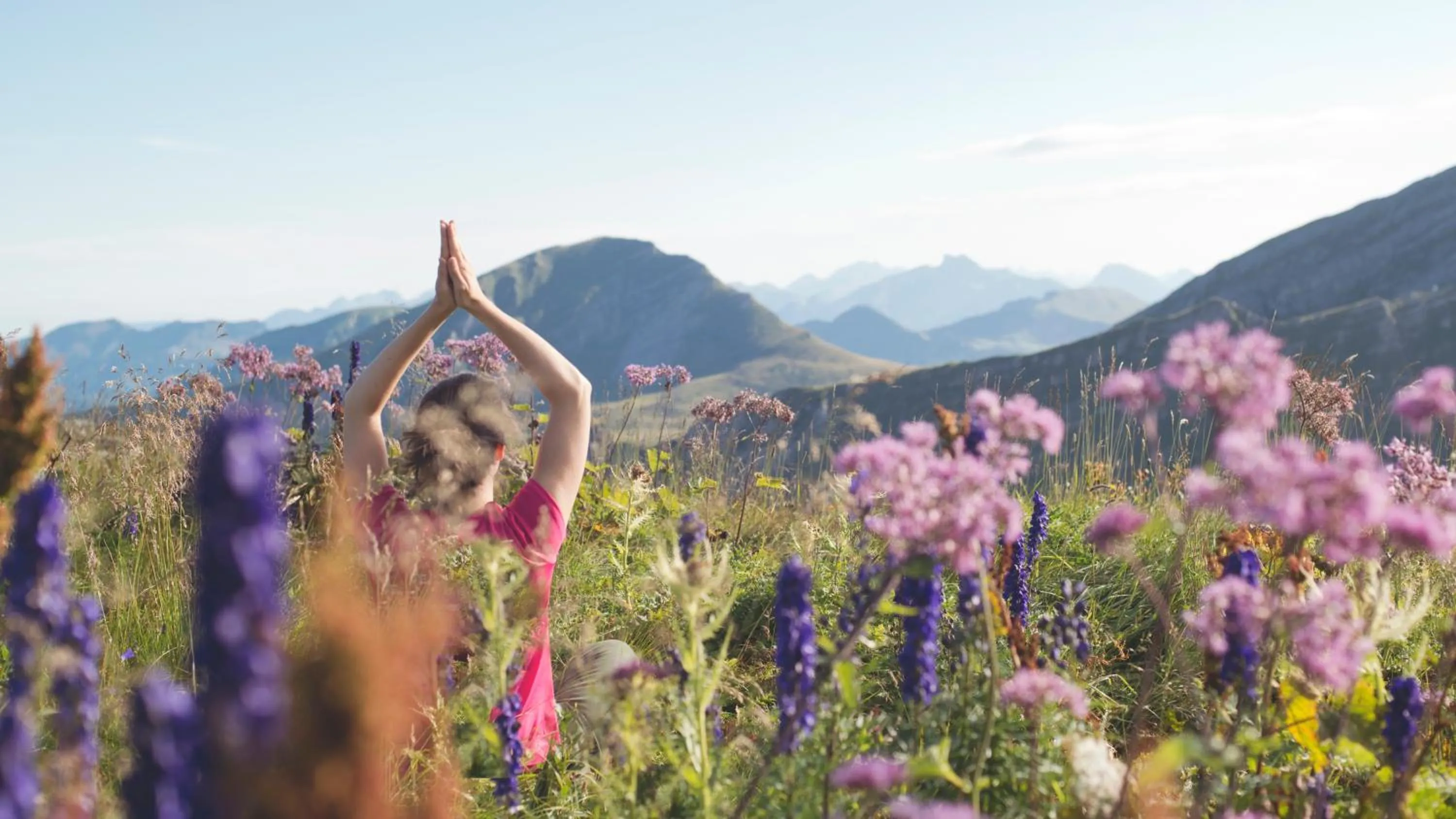 Natural landscape in Hôtel MiL8