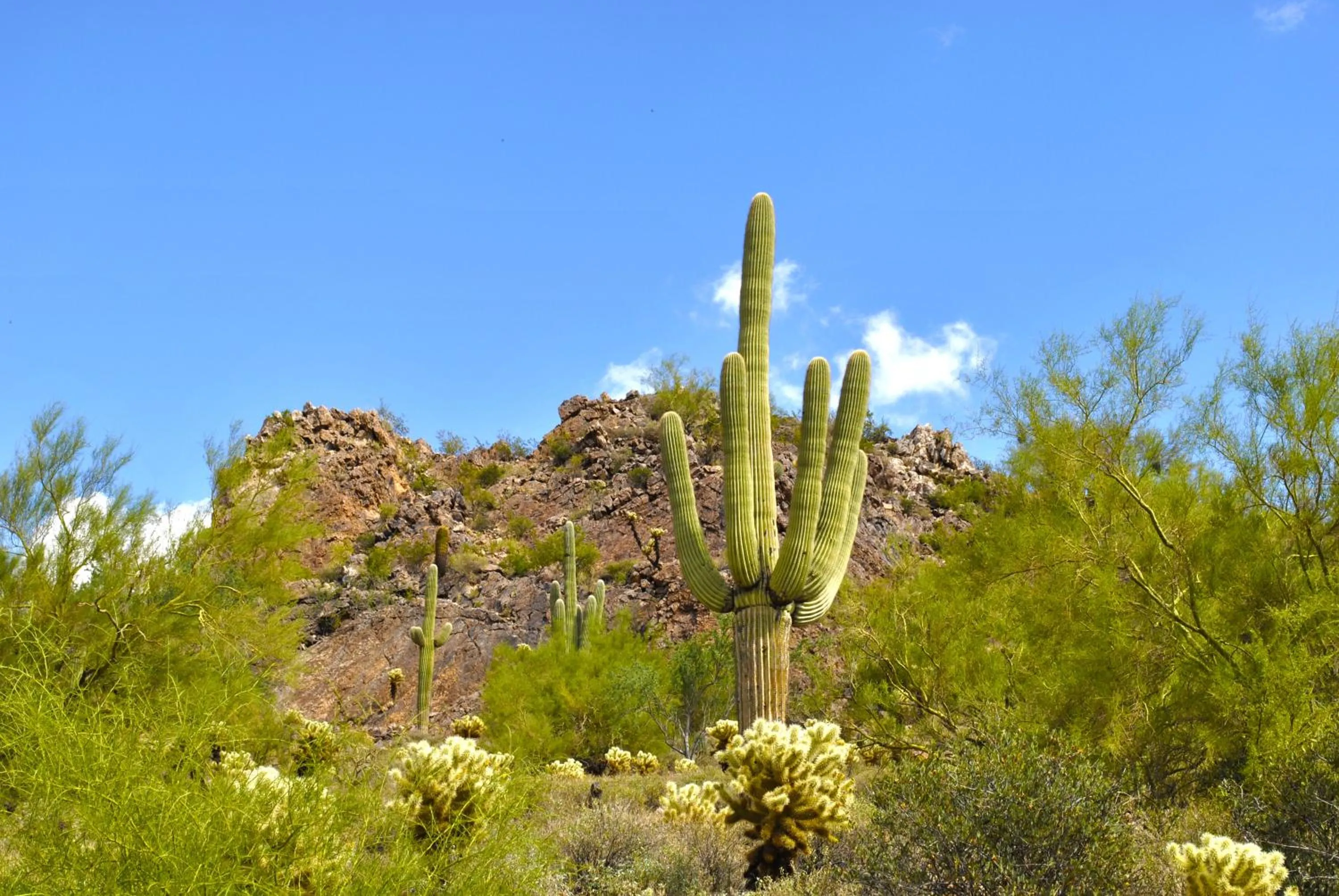 View (from property/room) in Gold Canyon Golf Resort