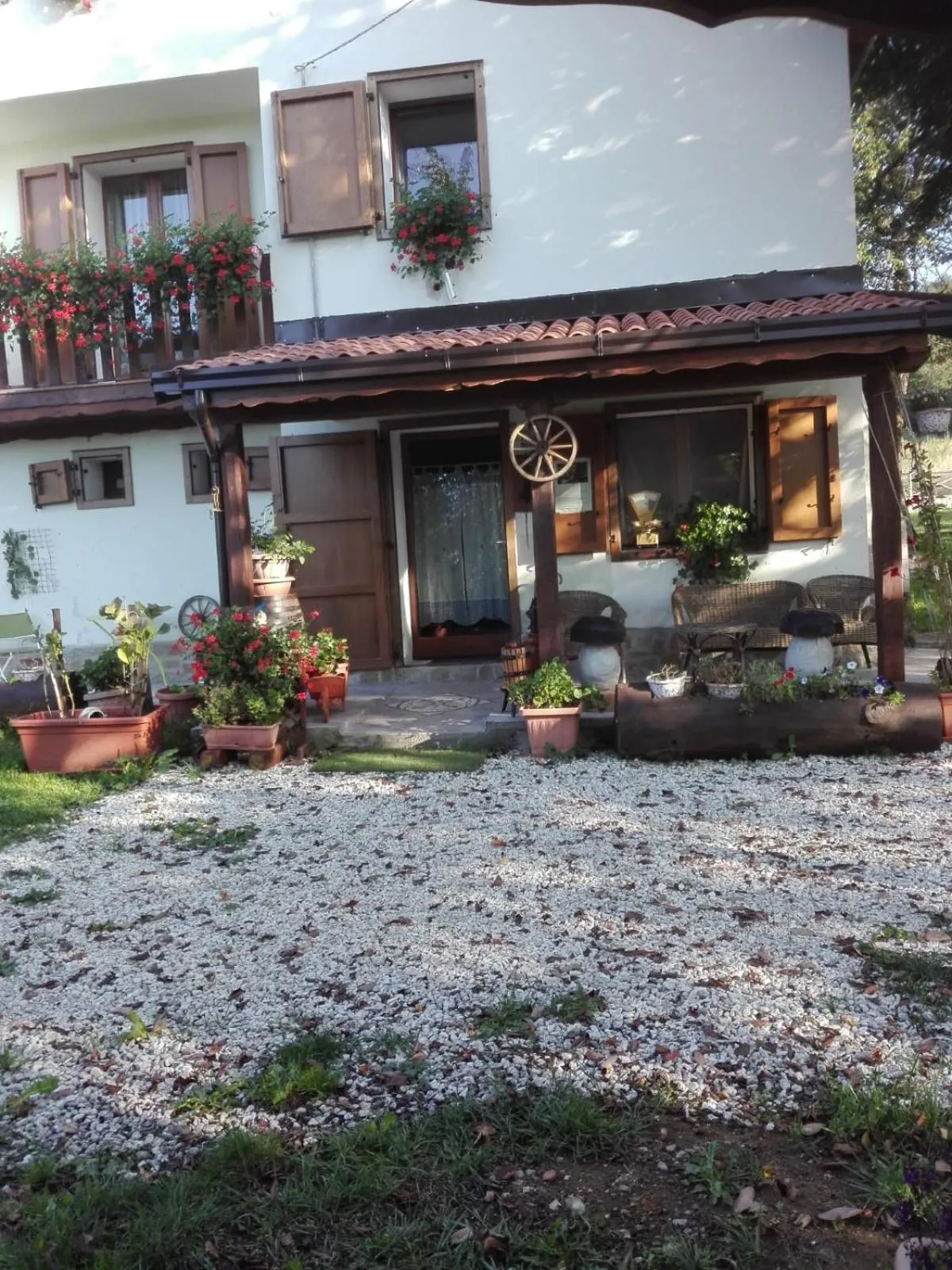 Il posto del ciliegio selvatico