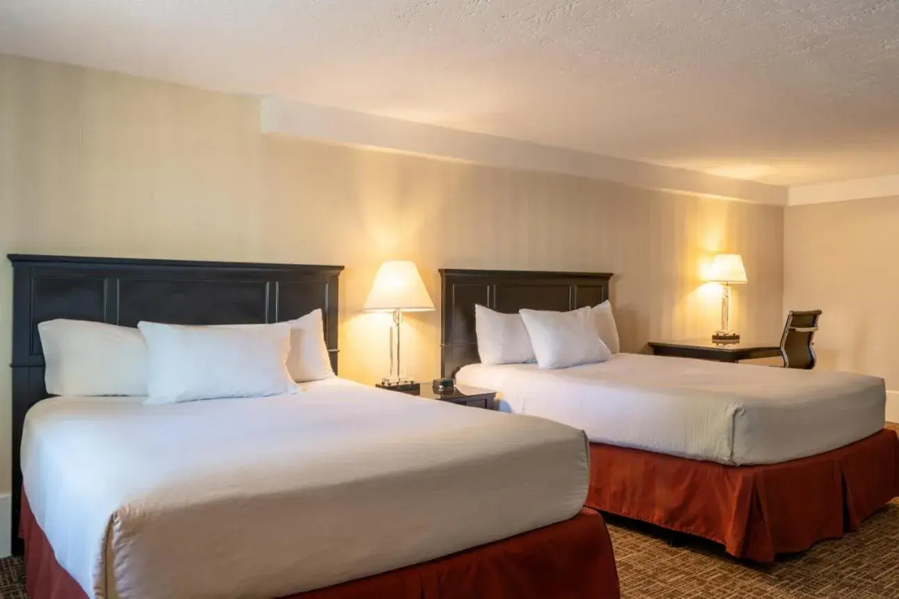 2 Queen Bedroom Pet Friendly-fee applies in Ogunquit Hotel and Suites 2 Queen Bedroom Pet Friendly-fee applies in Ogunquit Hotel and Suites