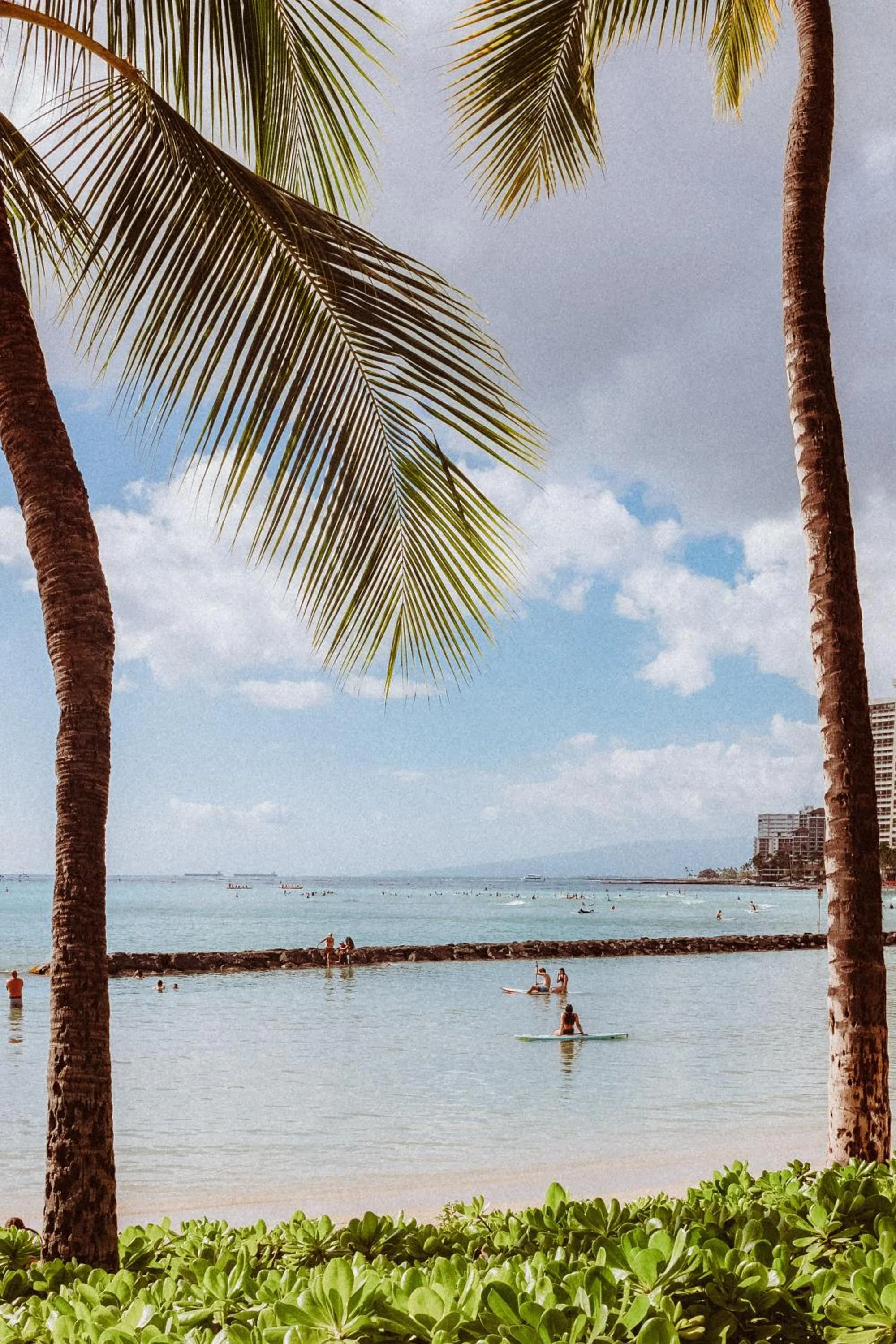 Beach in Royal Grove Waikiki
