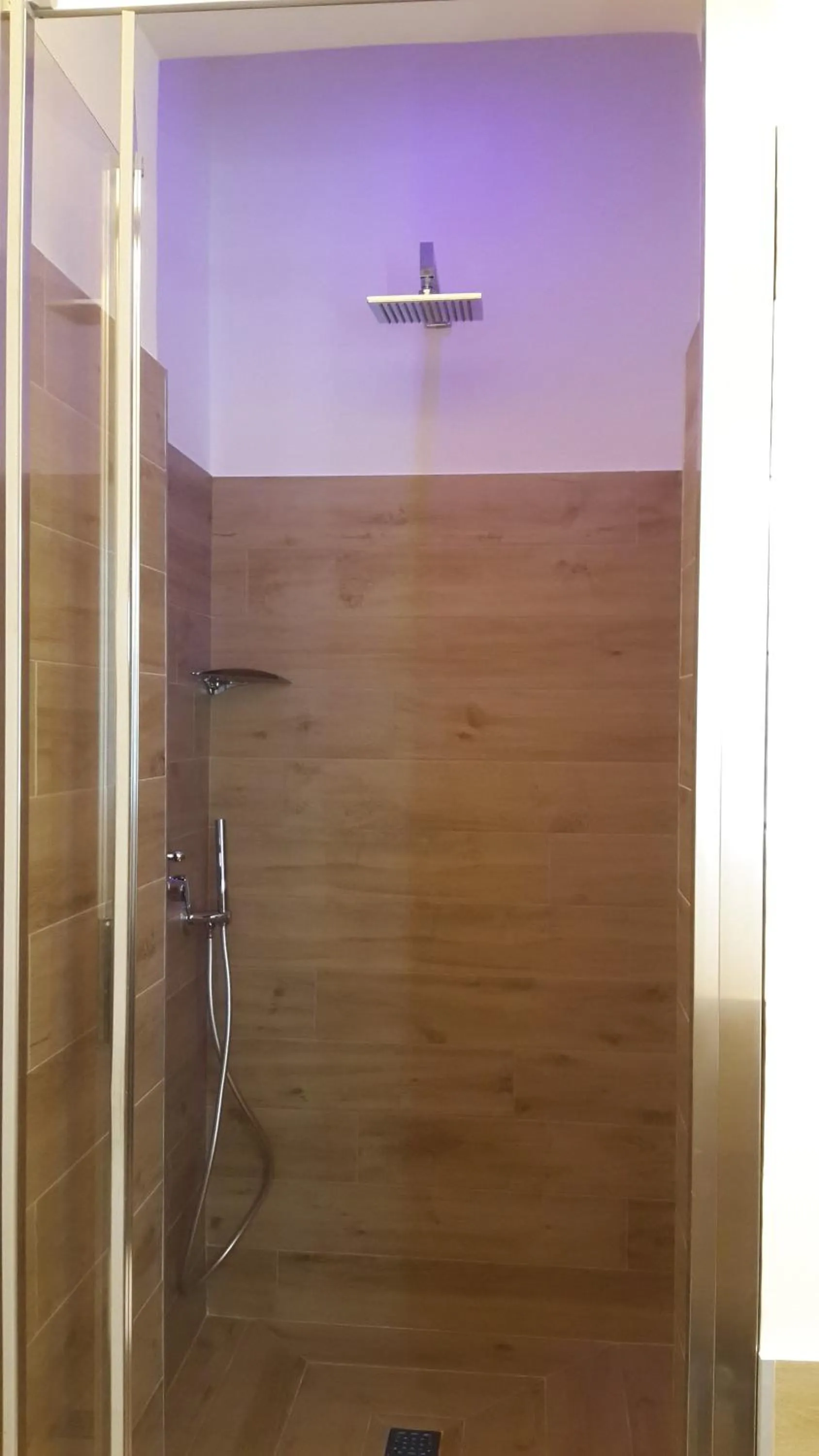 Shower in Cameo B&B