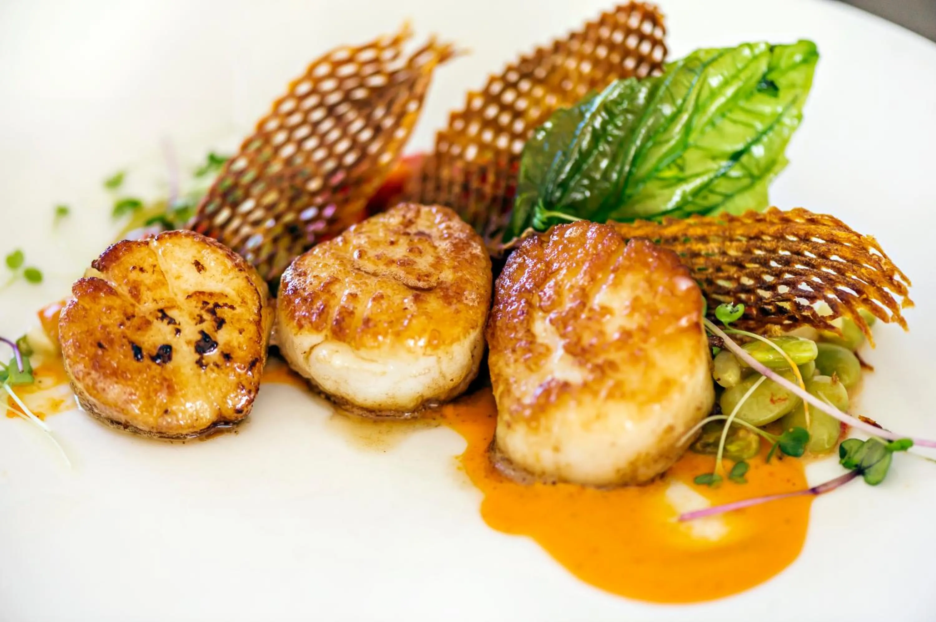 Food close-up in The Sanderling