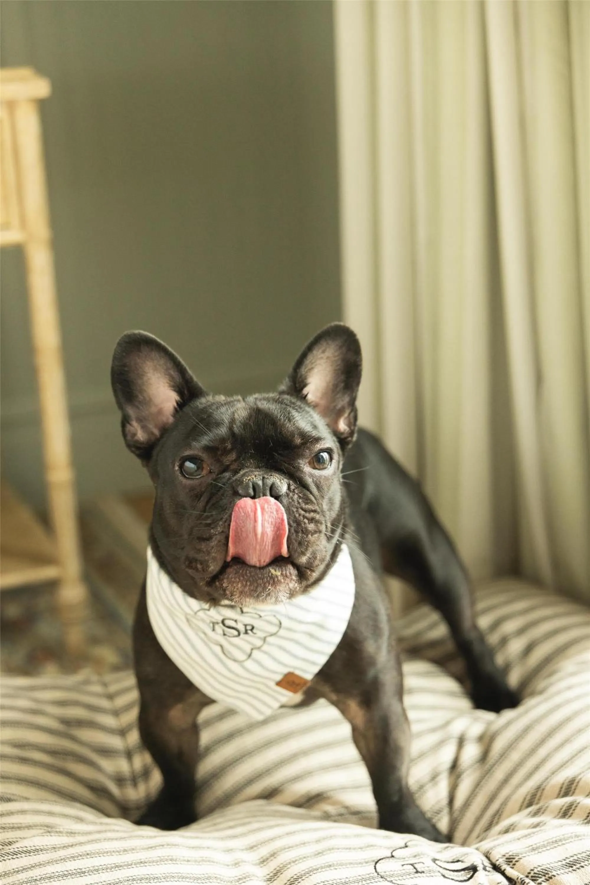 Other in The Sanderling