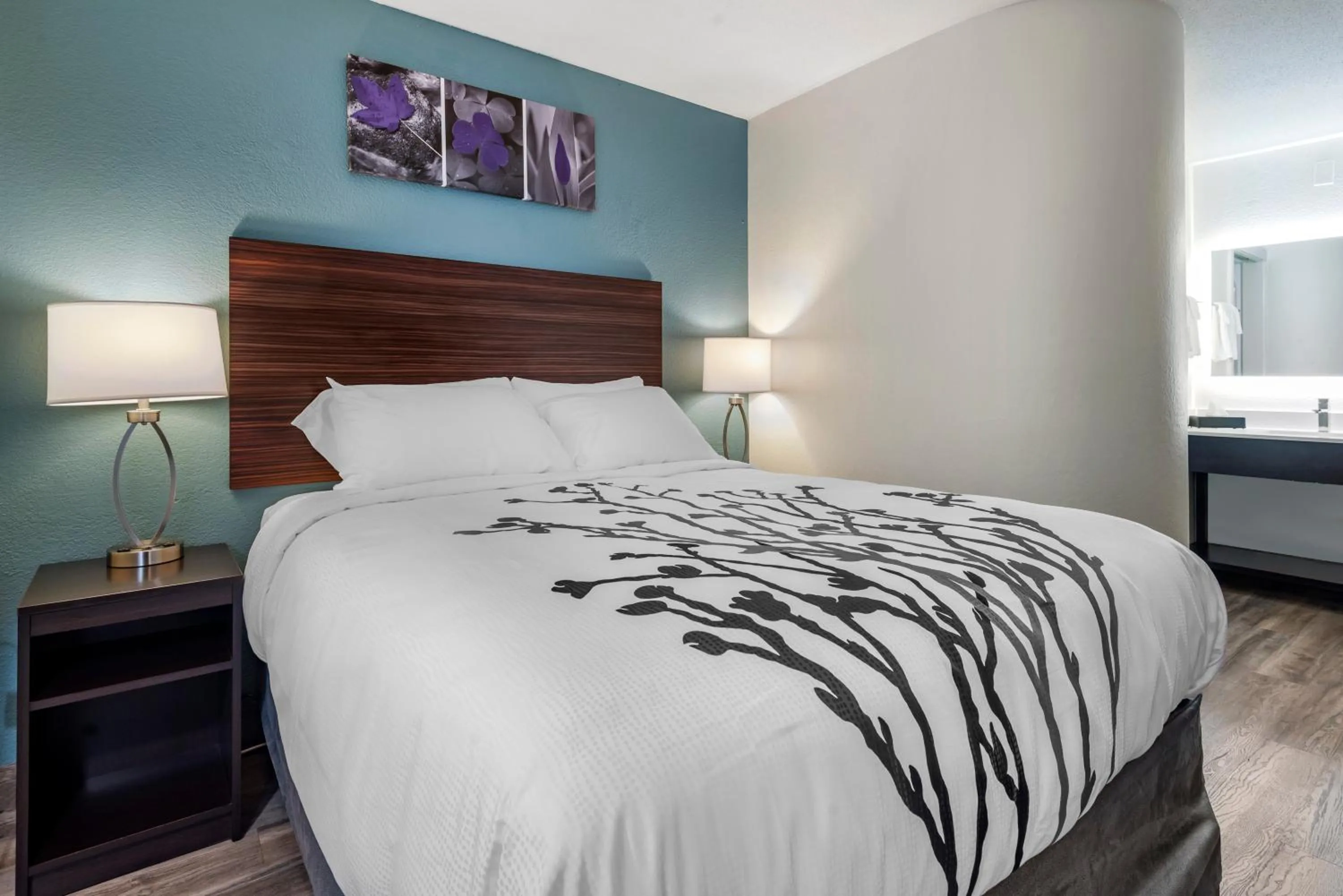 Bedroom, Bed in Sleep Inn - Salisbury I-85