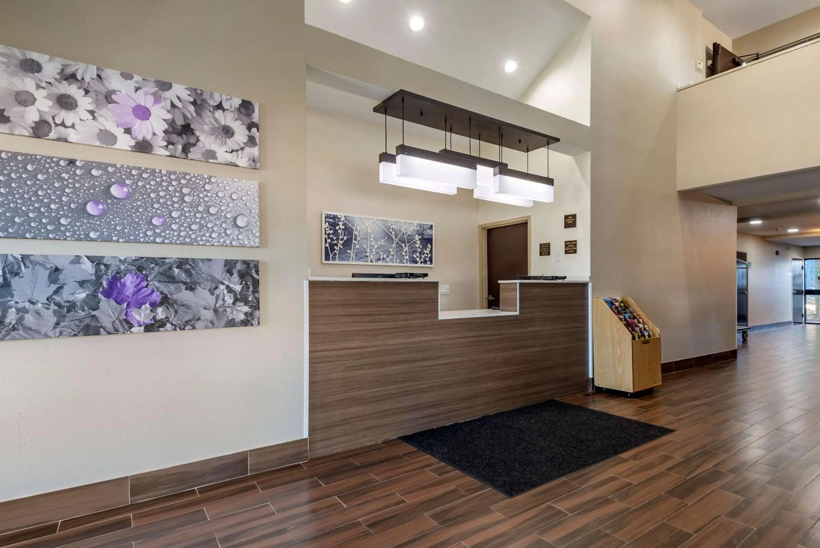 Lobby or reception in Sleep Inn - Salisbury I-85