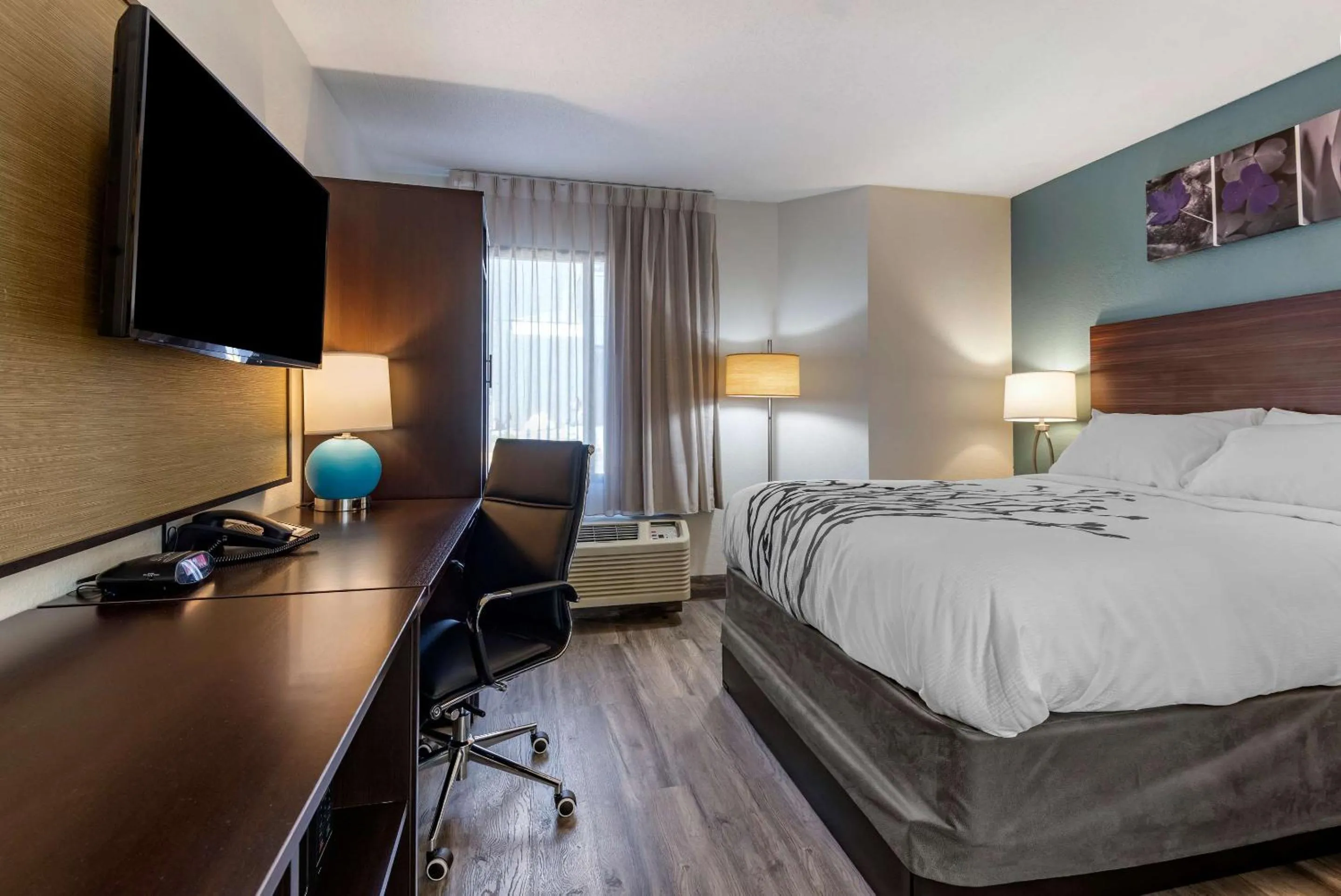 Bedroom, Bed in Sleep Inn - Salisbury I-85