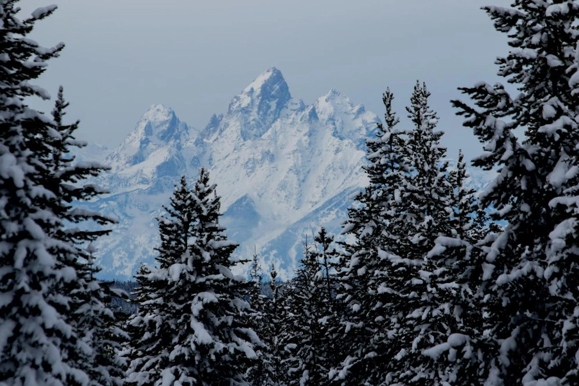 Nearby landmark in Togwotee Mountain Lodge
