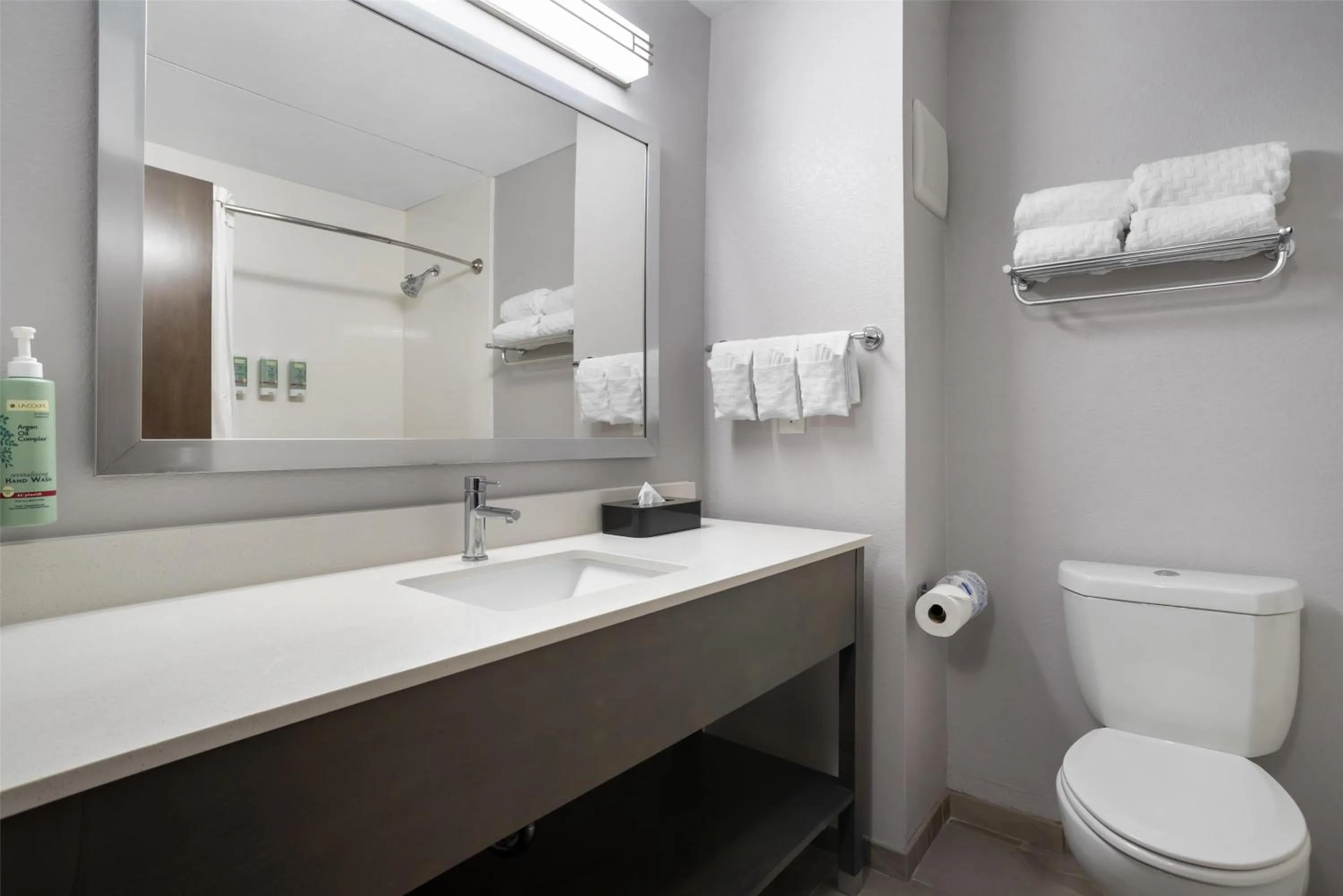 Bathroom in Best Western Brewton Inn