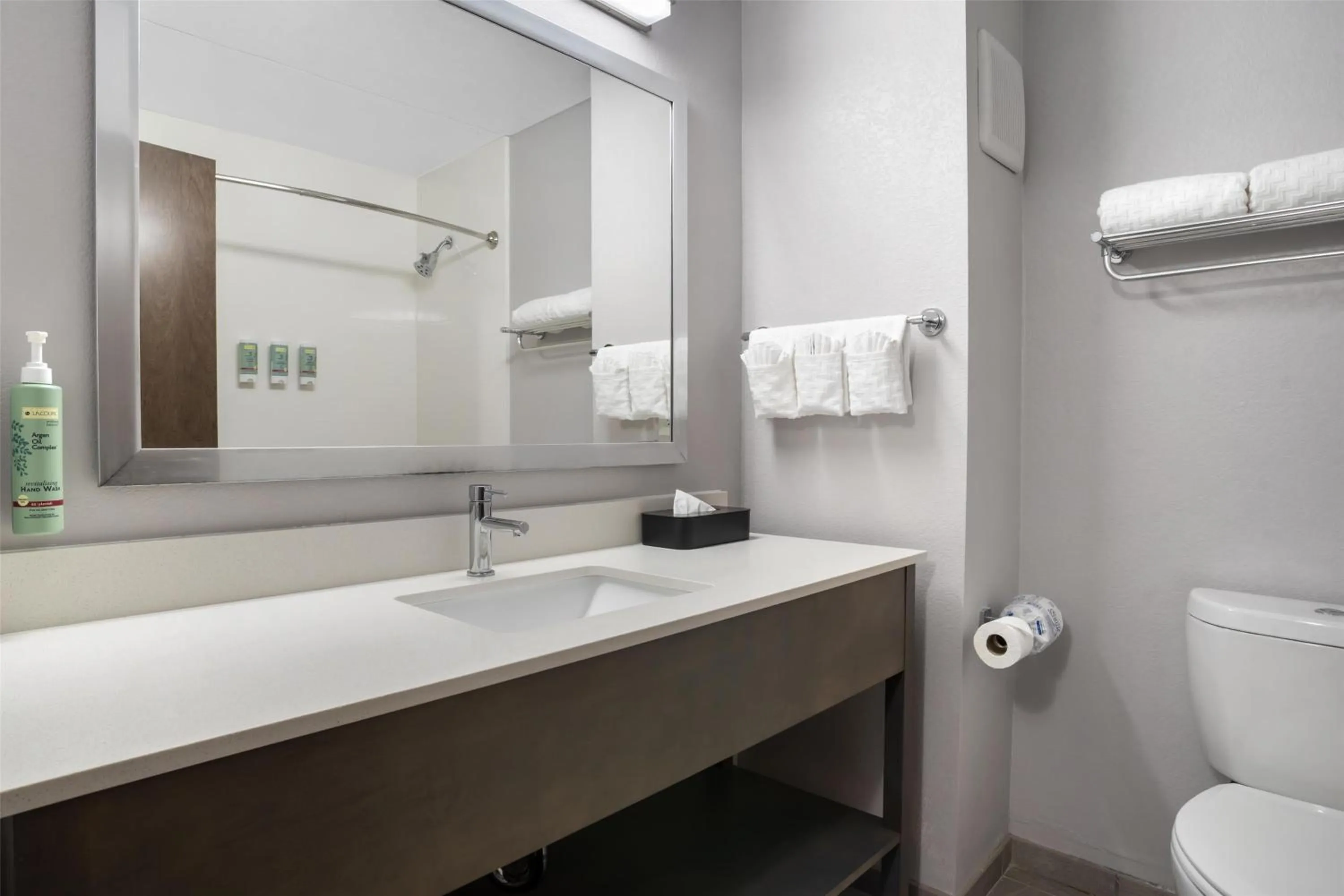 Bathroom in Best Western Brewton Inn