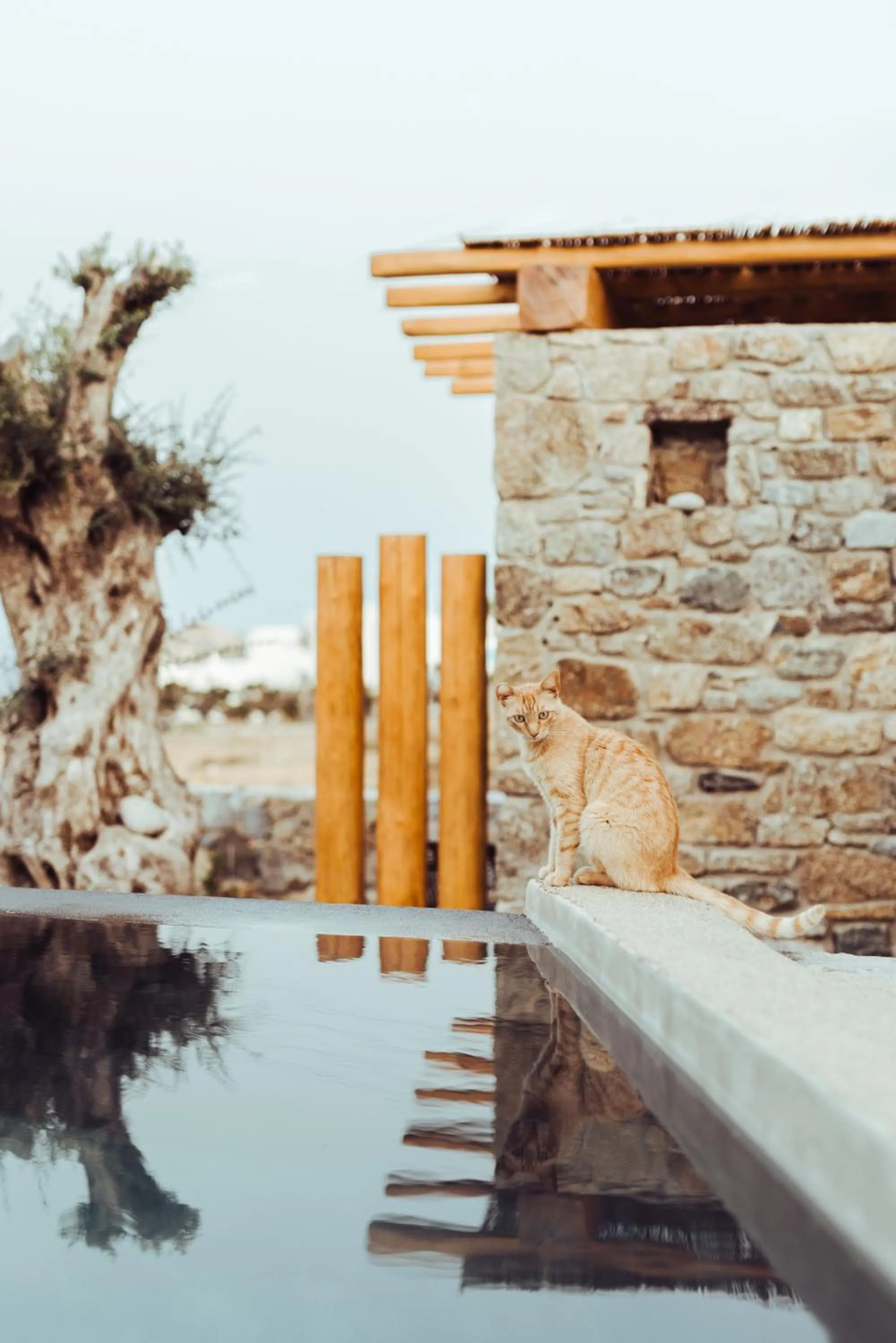 M-Vibes Mykonos Suites