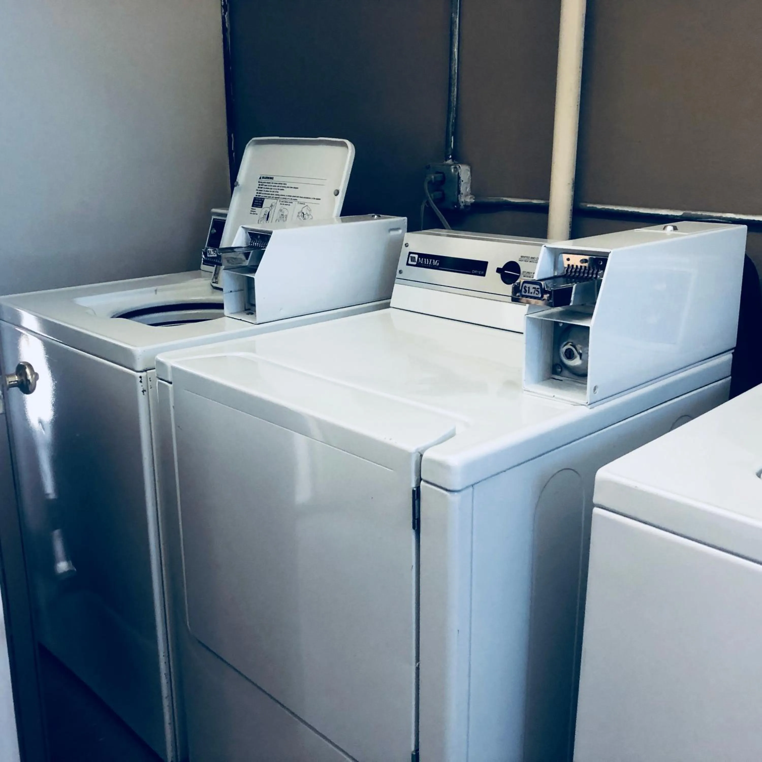 Area and facilities in A Western Rose