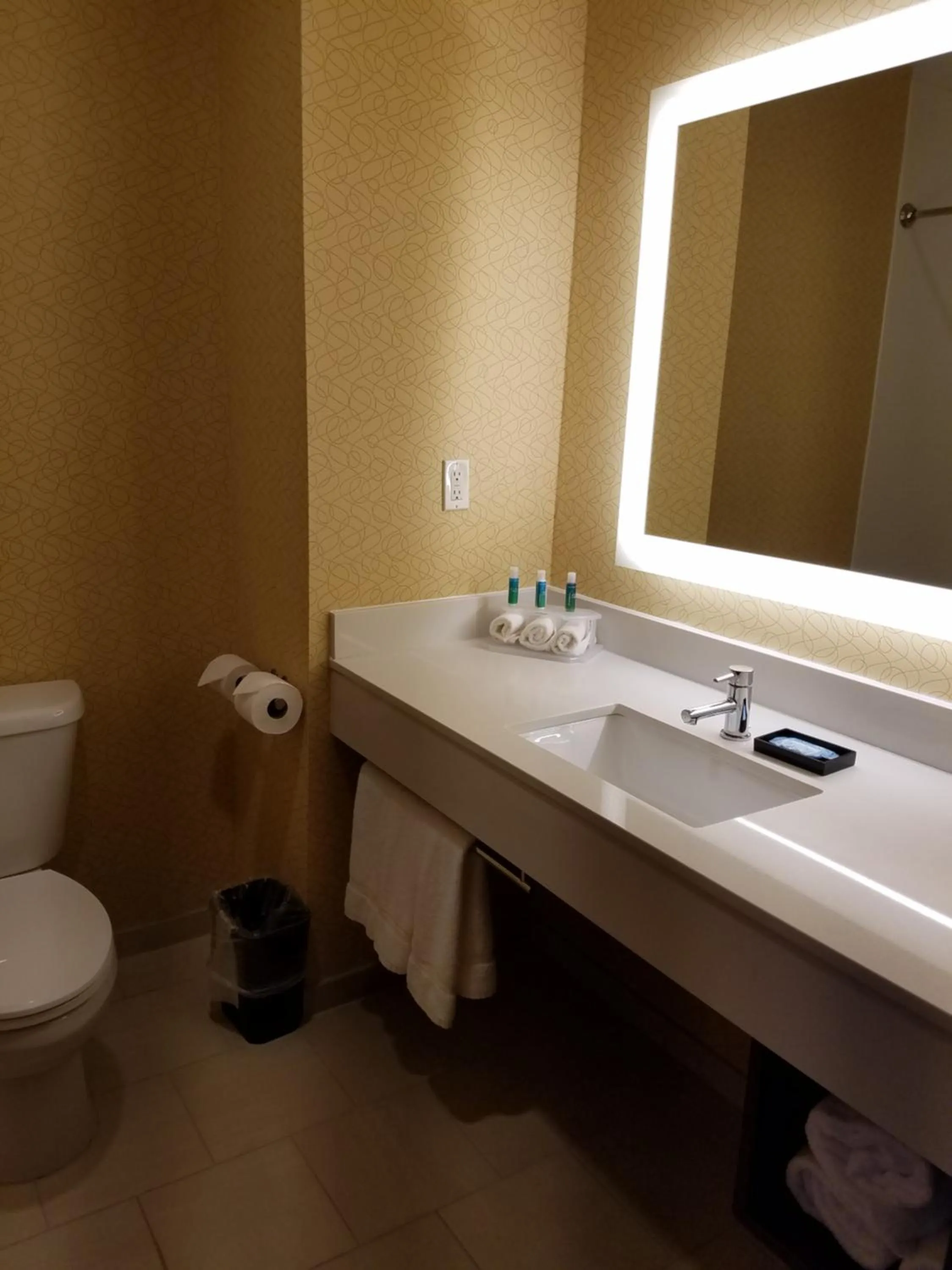 Toilet in Holiday Inn Express Bordentown - Trenton South by IHG