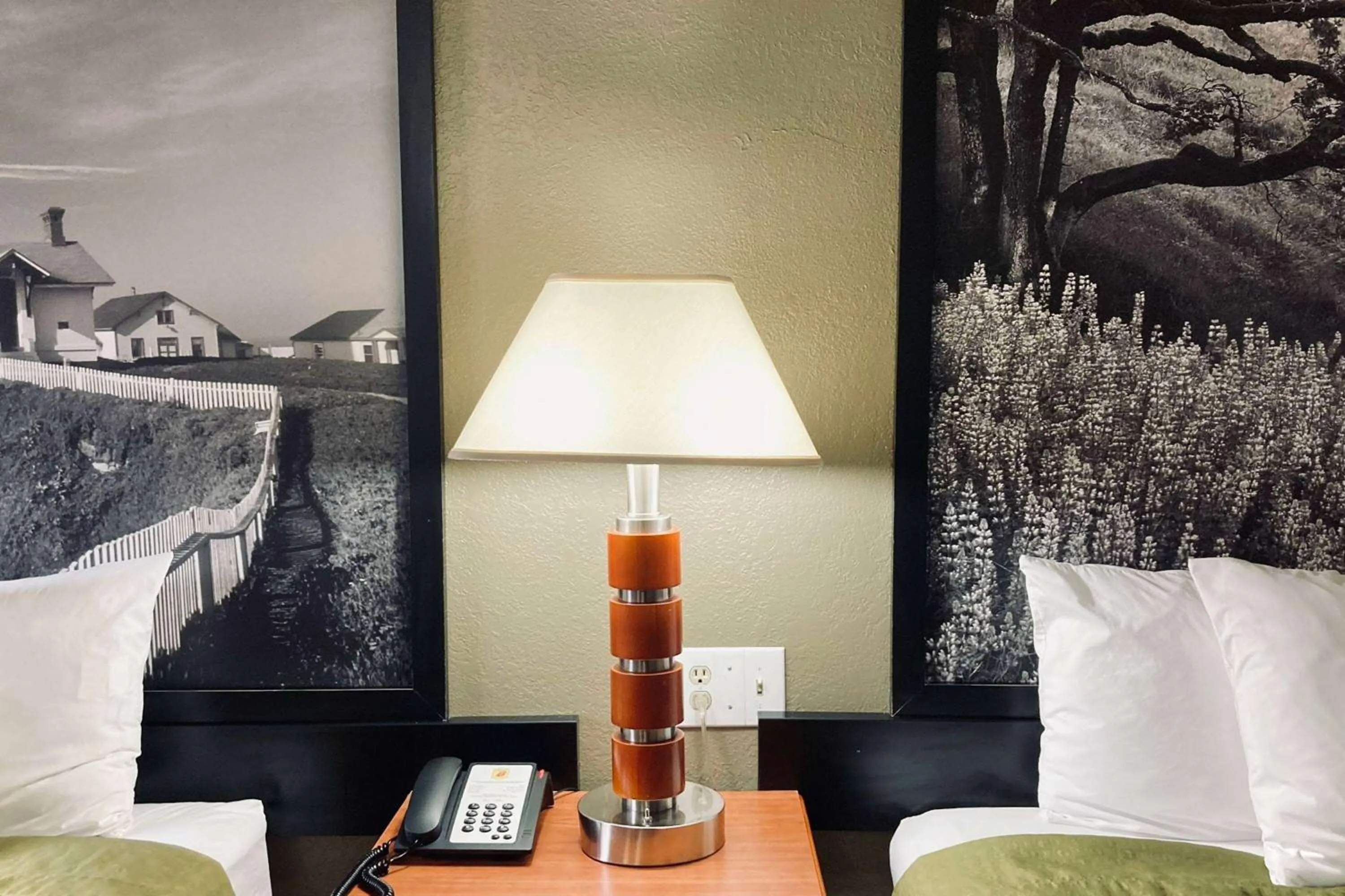 Photo of the whole room, Bed in Super 8 by Wyndham Colorado Springs/Afa Area