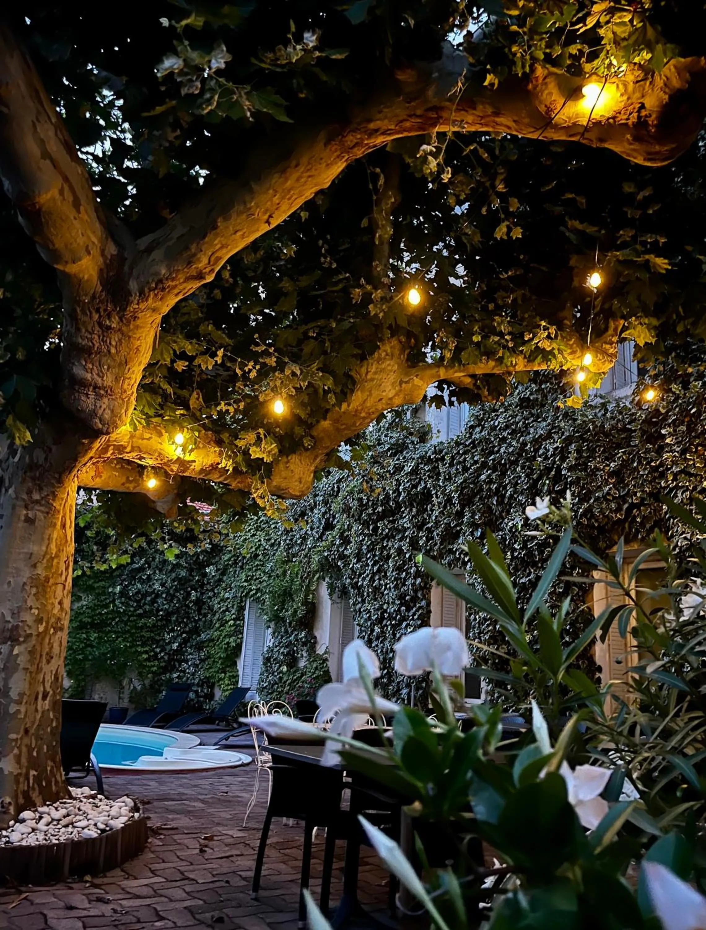 Patio in Cit'Hotel Le Louvre Orange