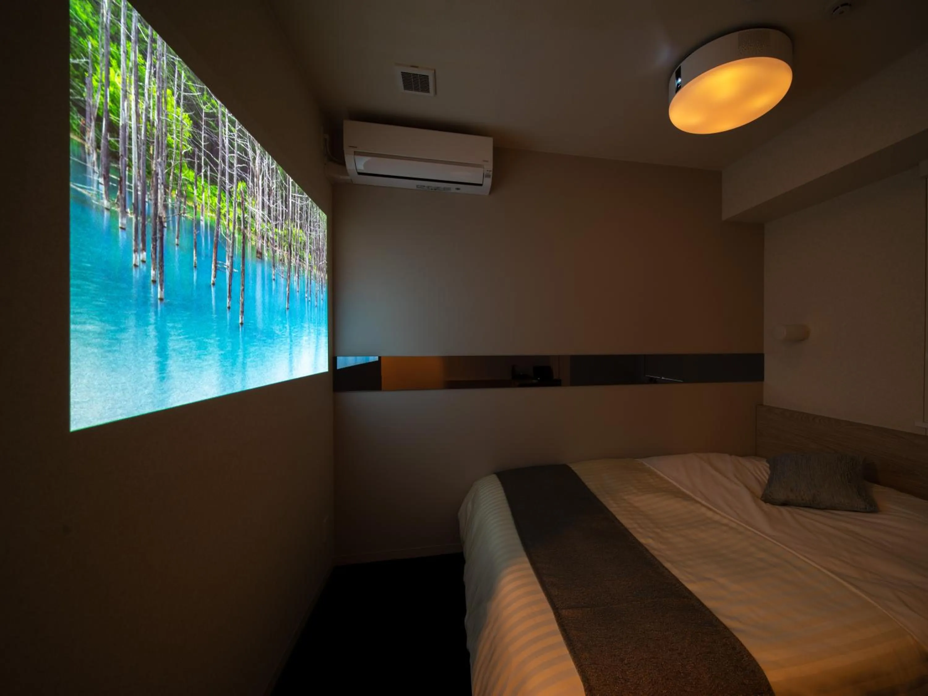 Bed in Super Hotel Premier Akihabara