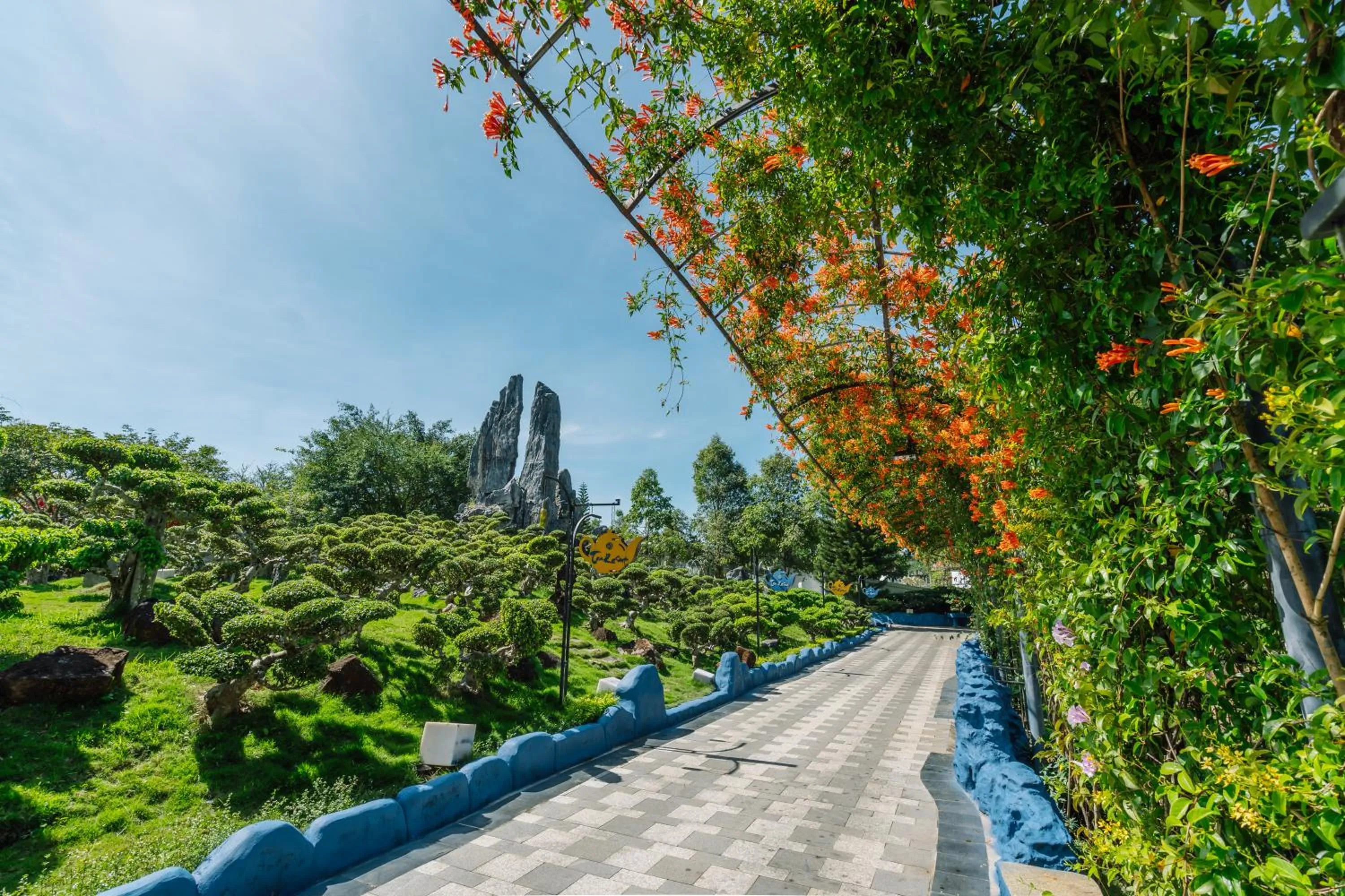 Garden in Tea Resort
