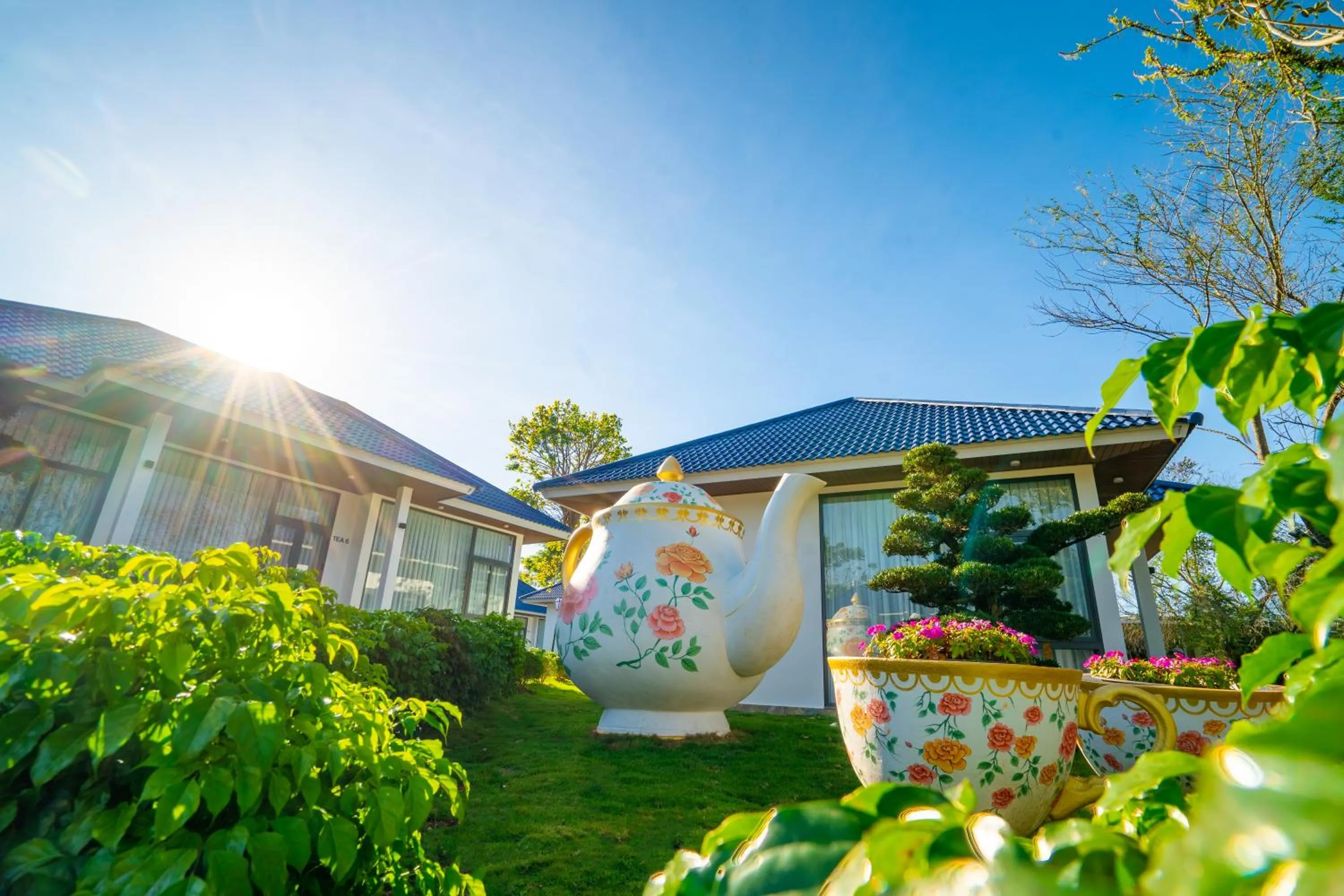 Property building in Tea Resort