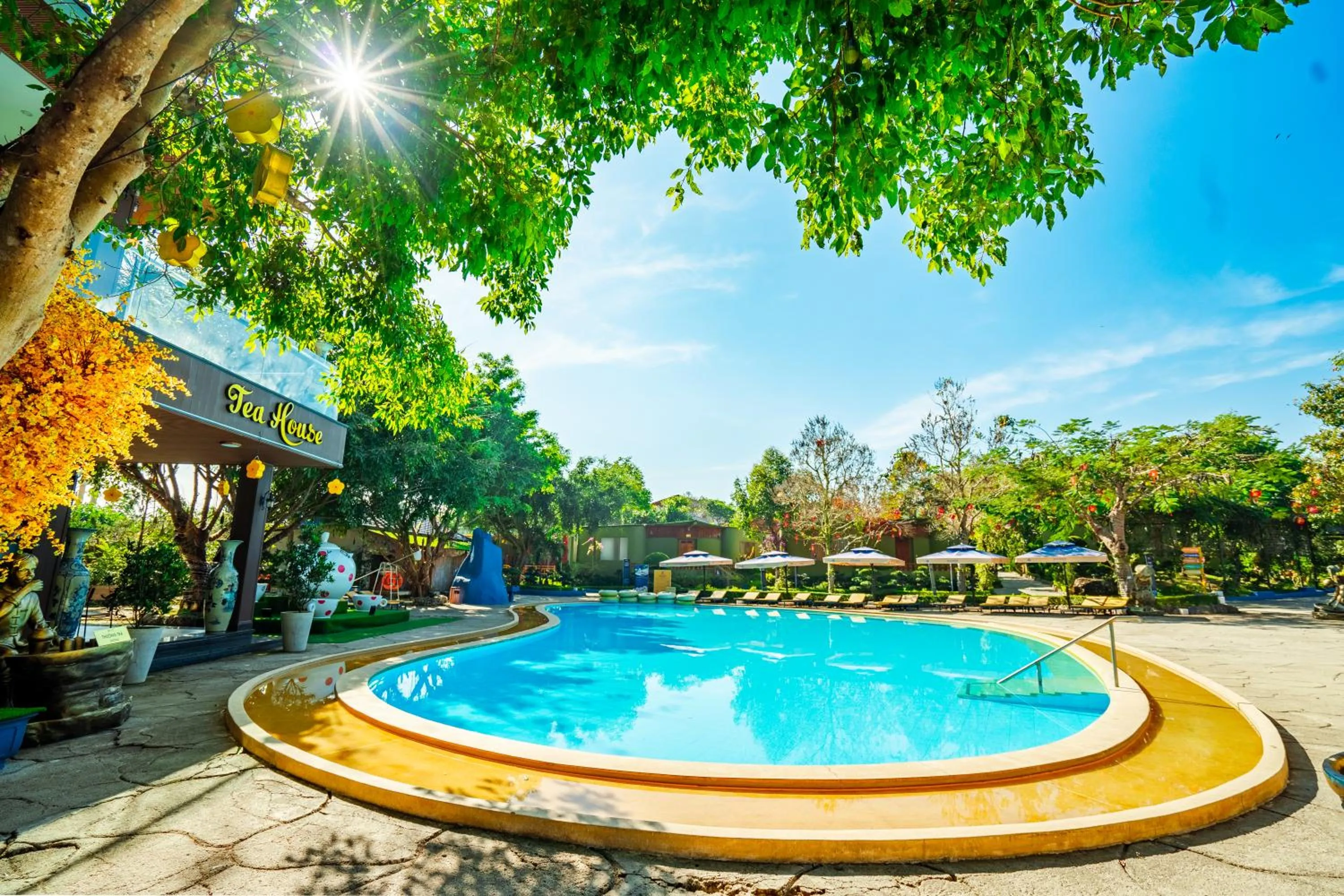 Swimming pool in Tea Resort