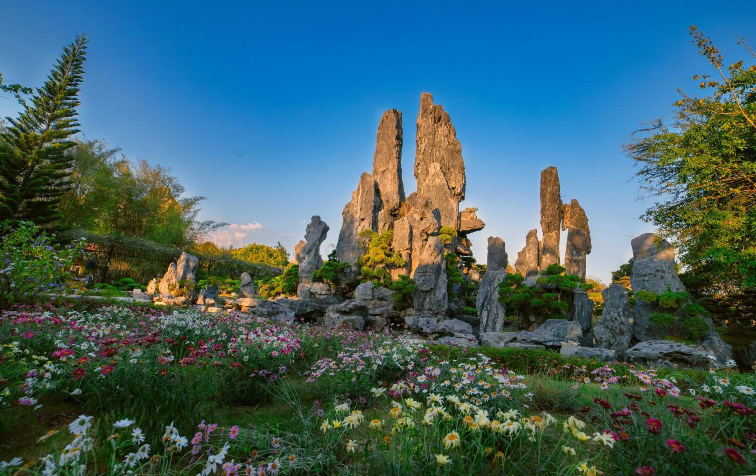 Natural landscape in Tea Resort
