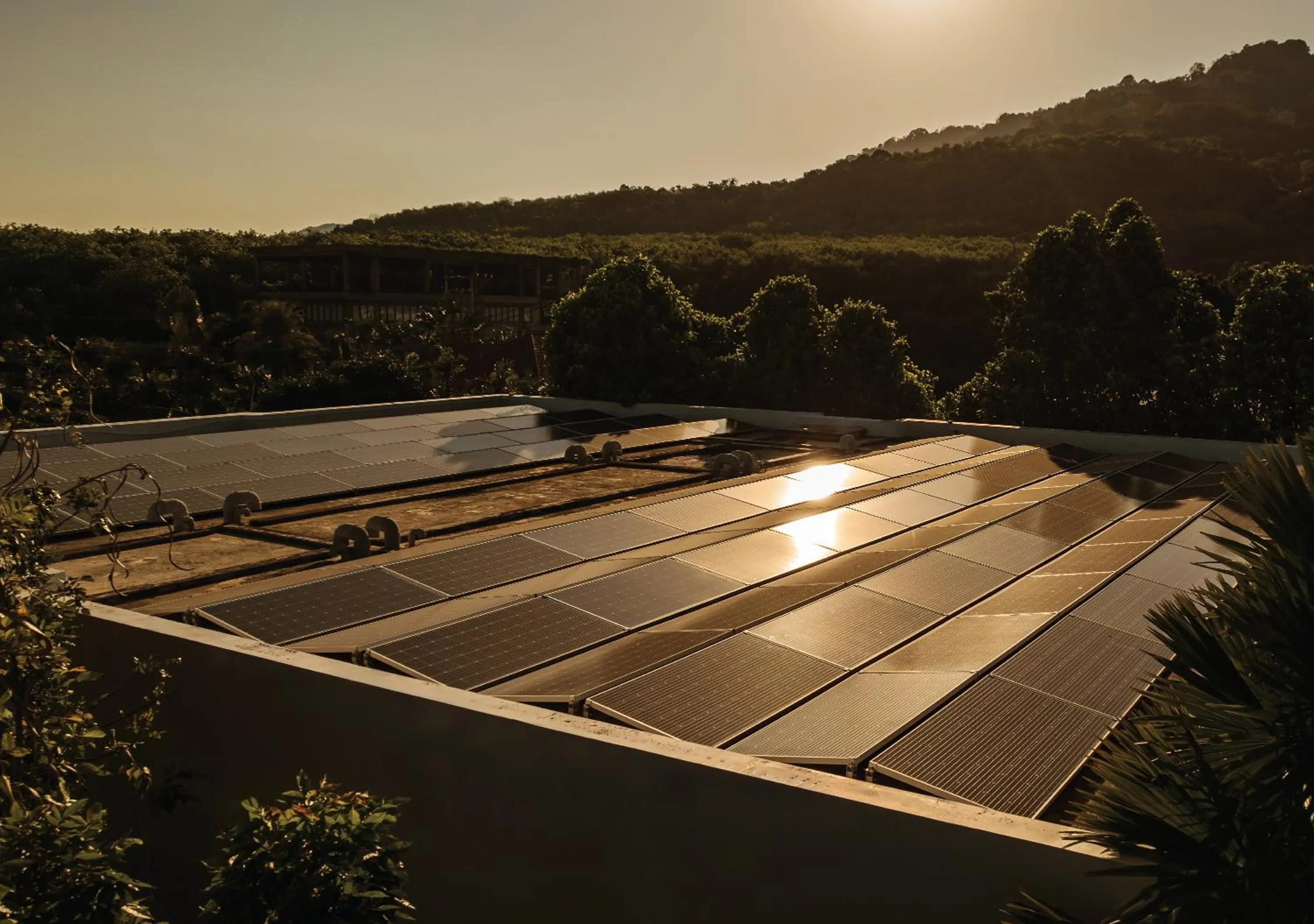 Other in Stay Wellbeing & Lifestyle Resort