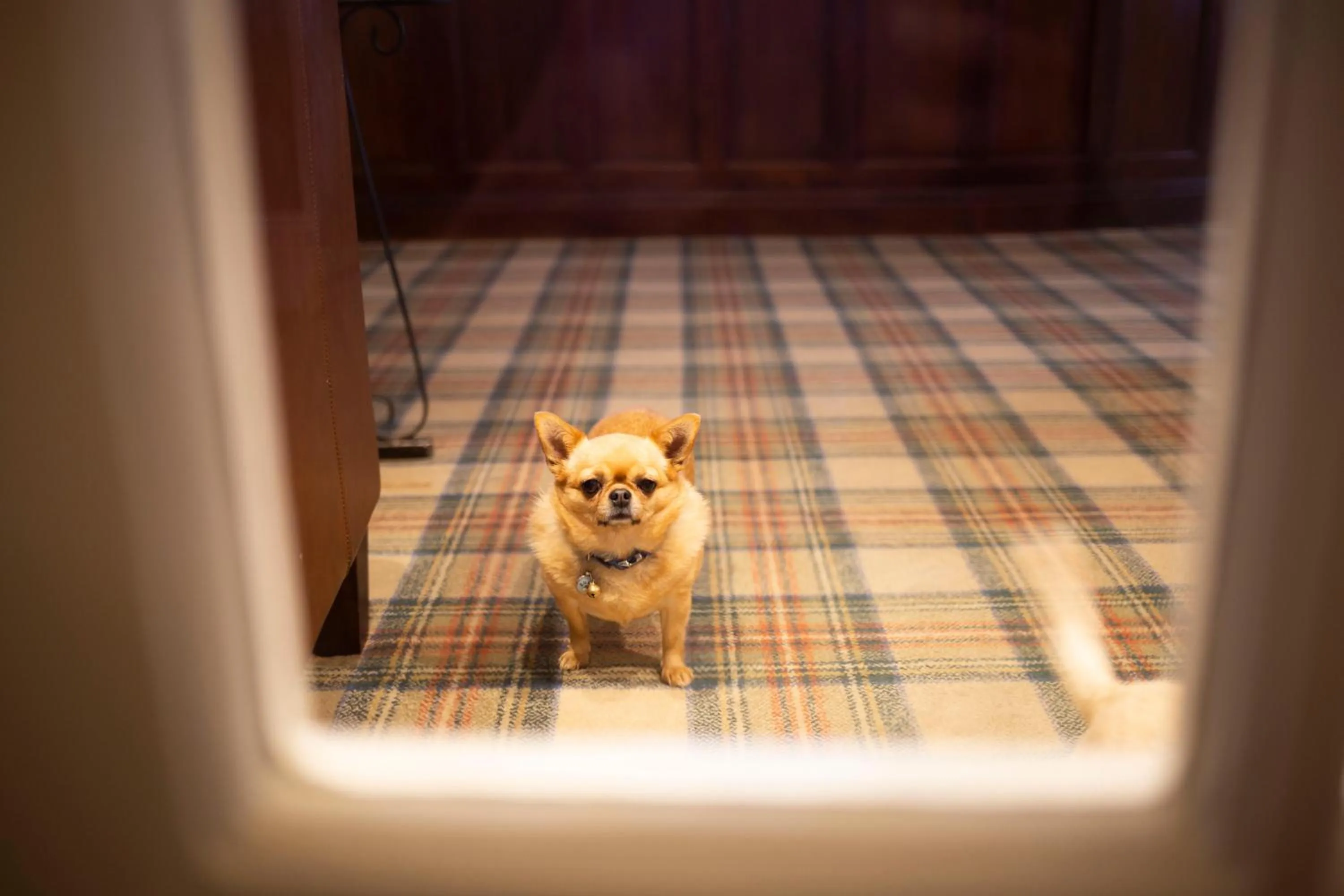 The Penrallt Country House Hotel