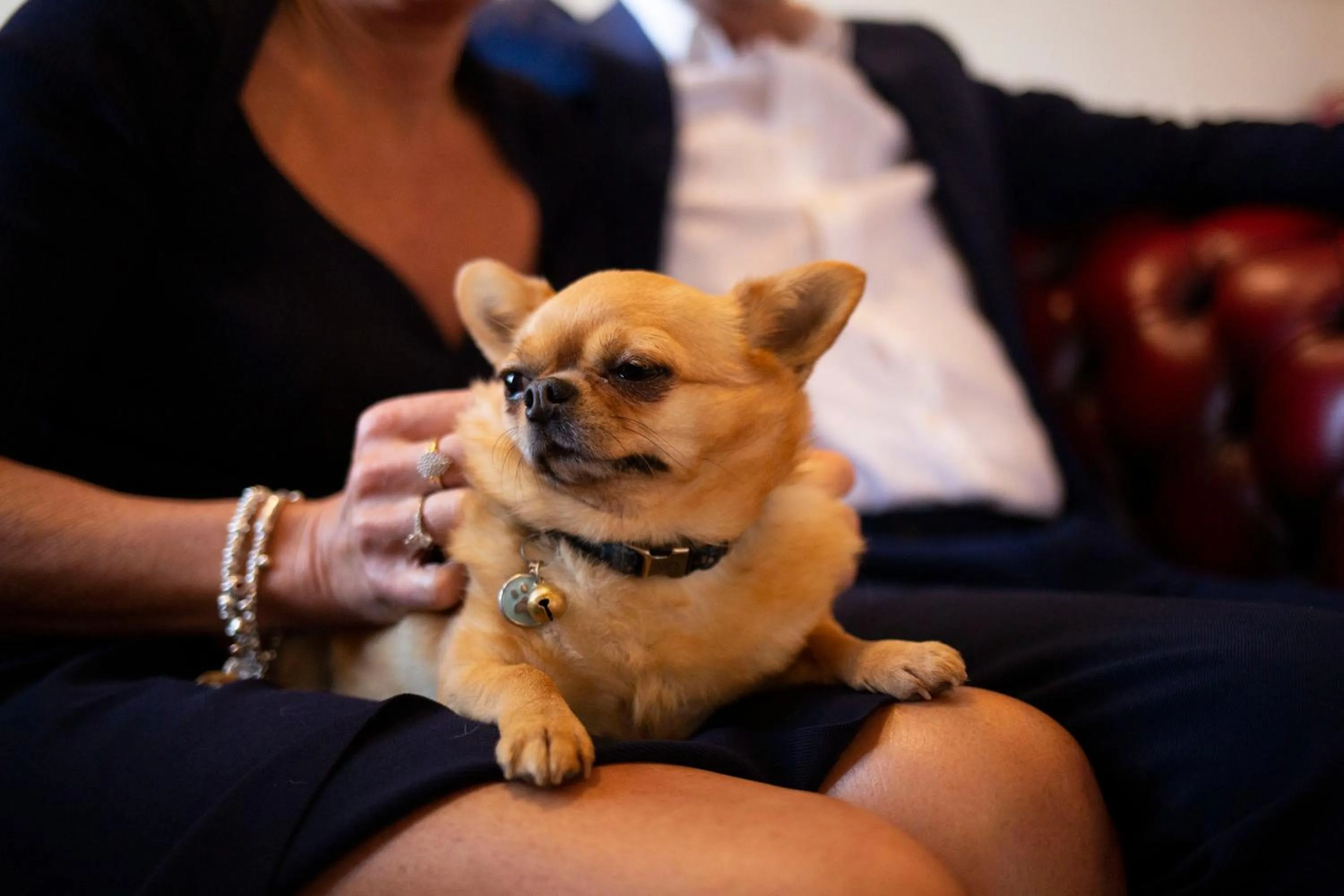 The Penrallt Country House Hotel