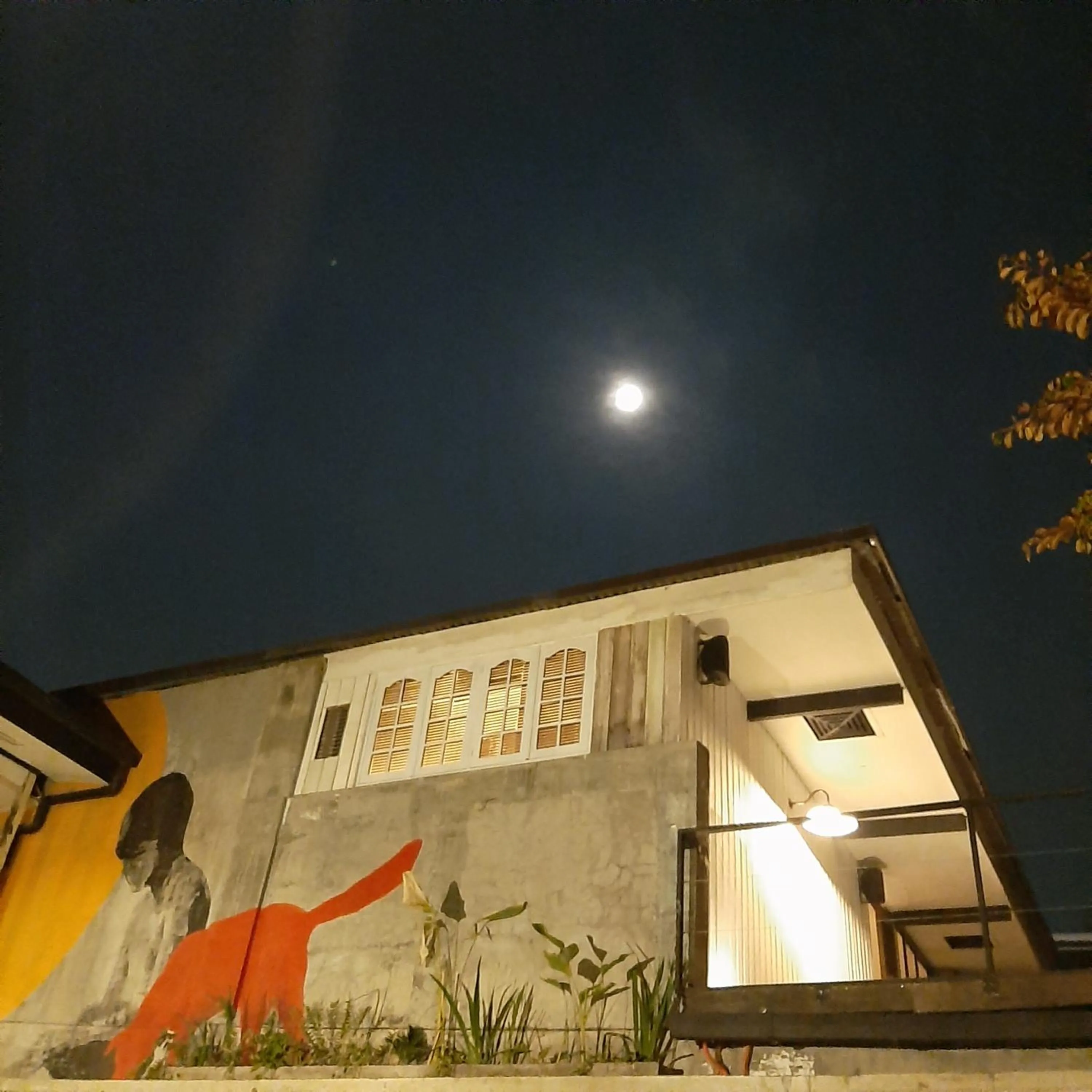 Property building in The Flying Fish Hostel Cebu