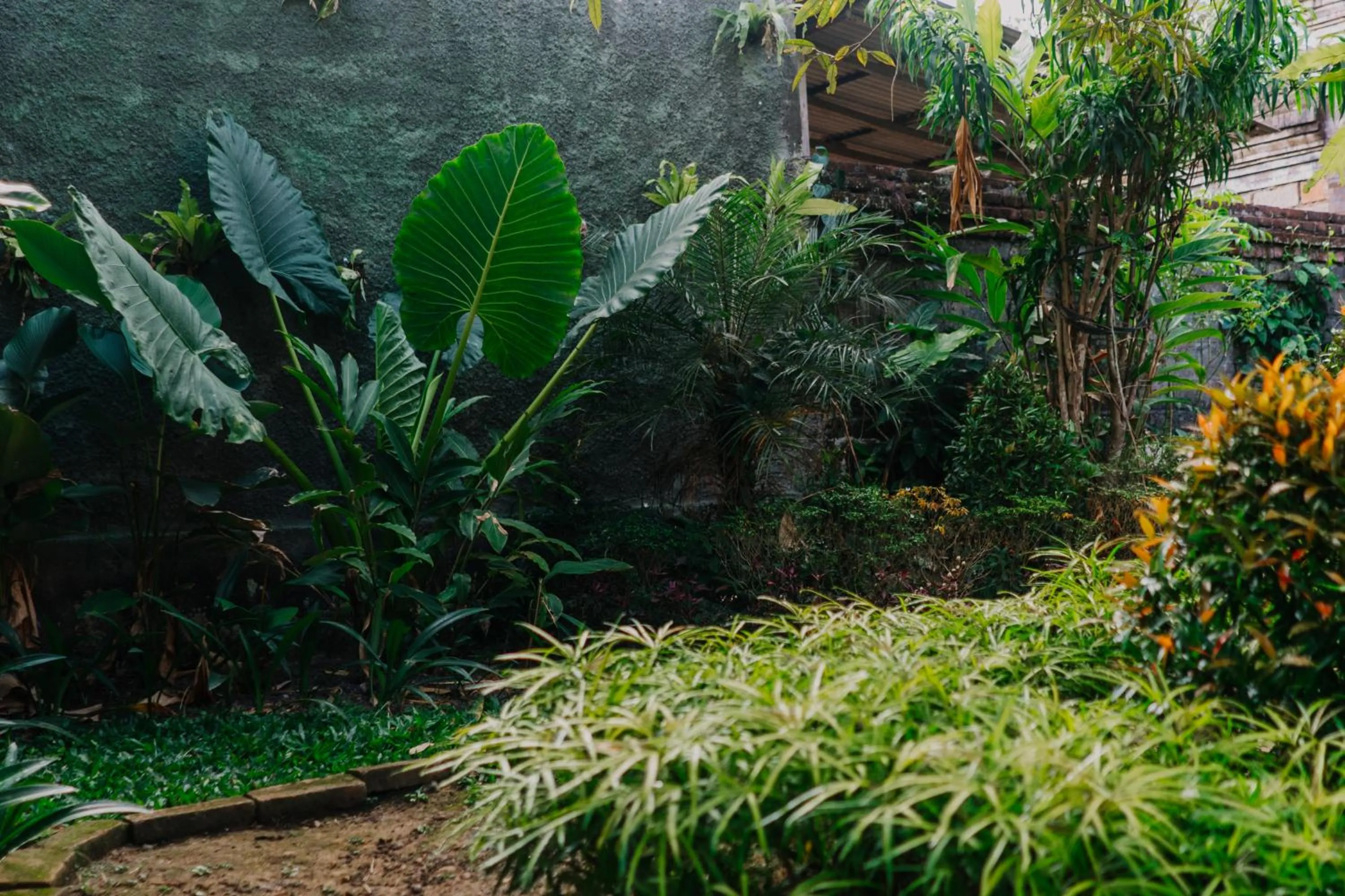 Natural landscape in Rahayu Guest House Ubud