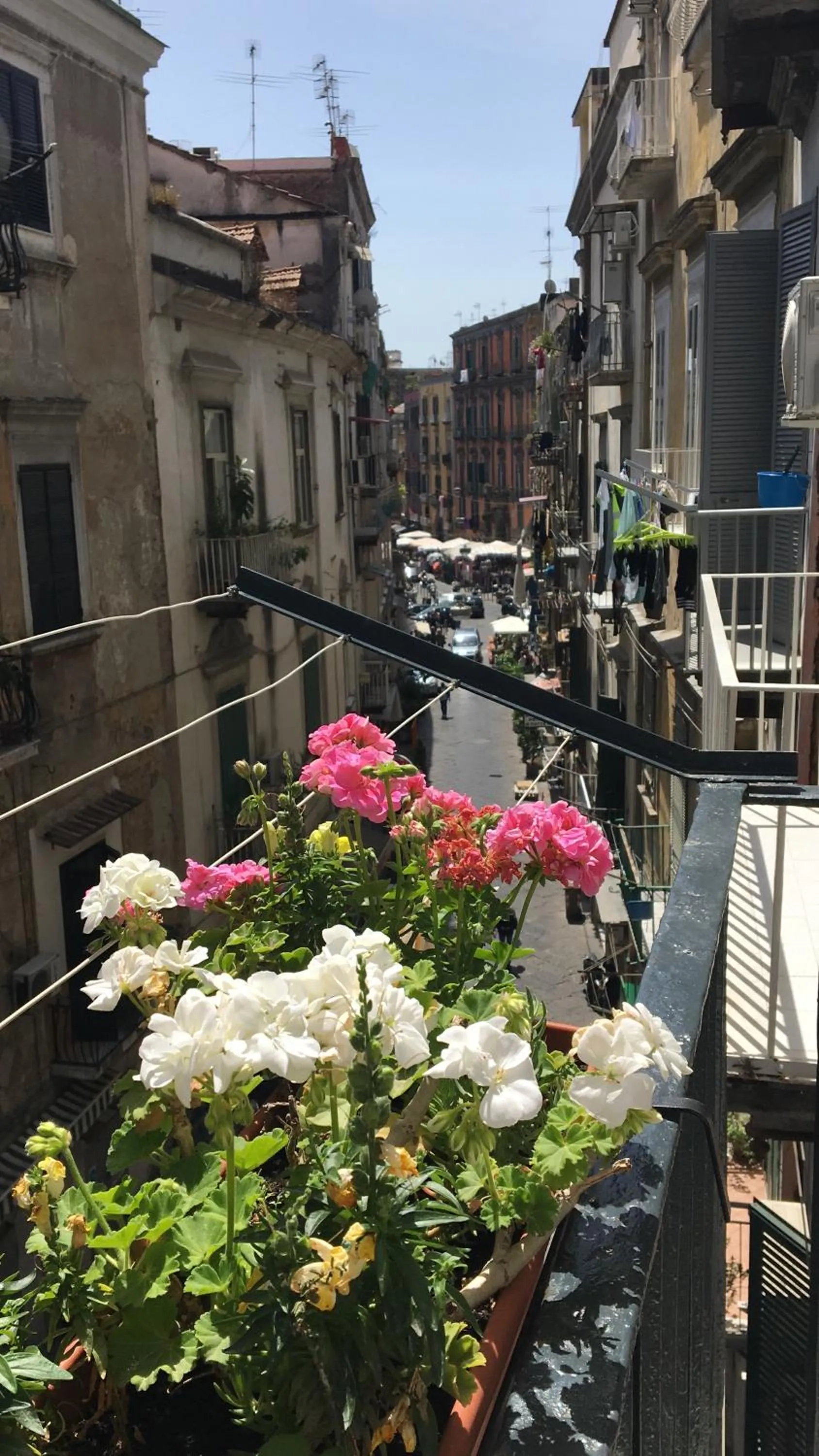 Balcony/Terrace in MB Napoles intera casa