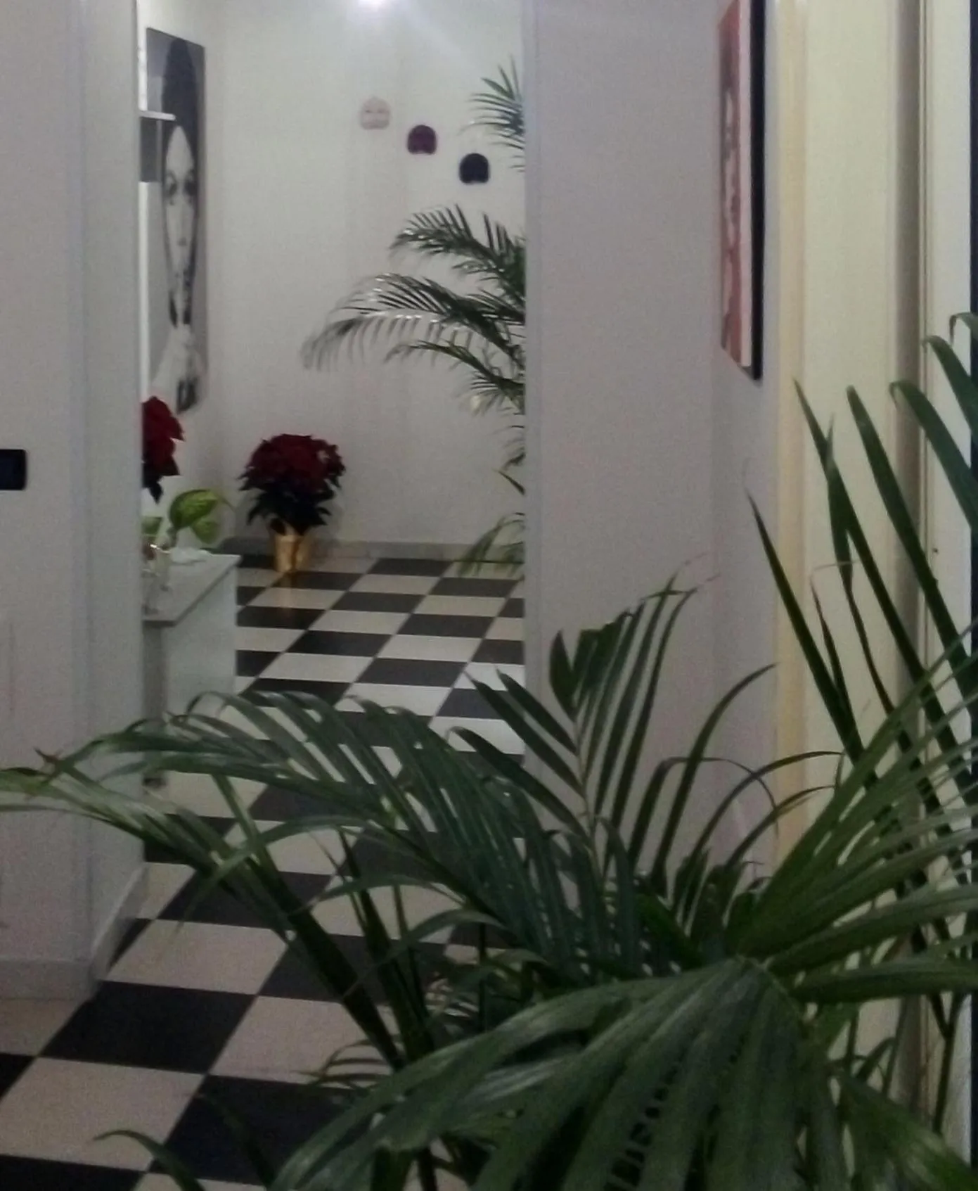 MB Napoles intera casa