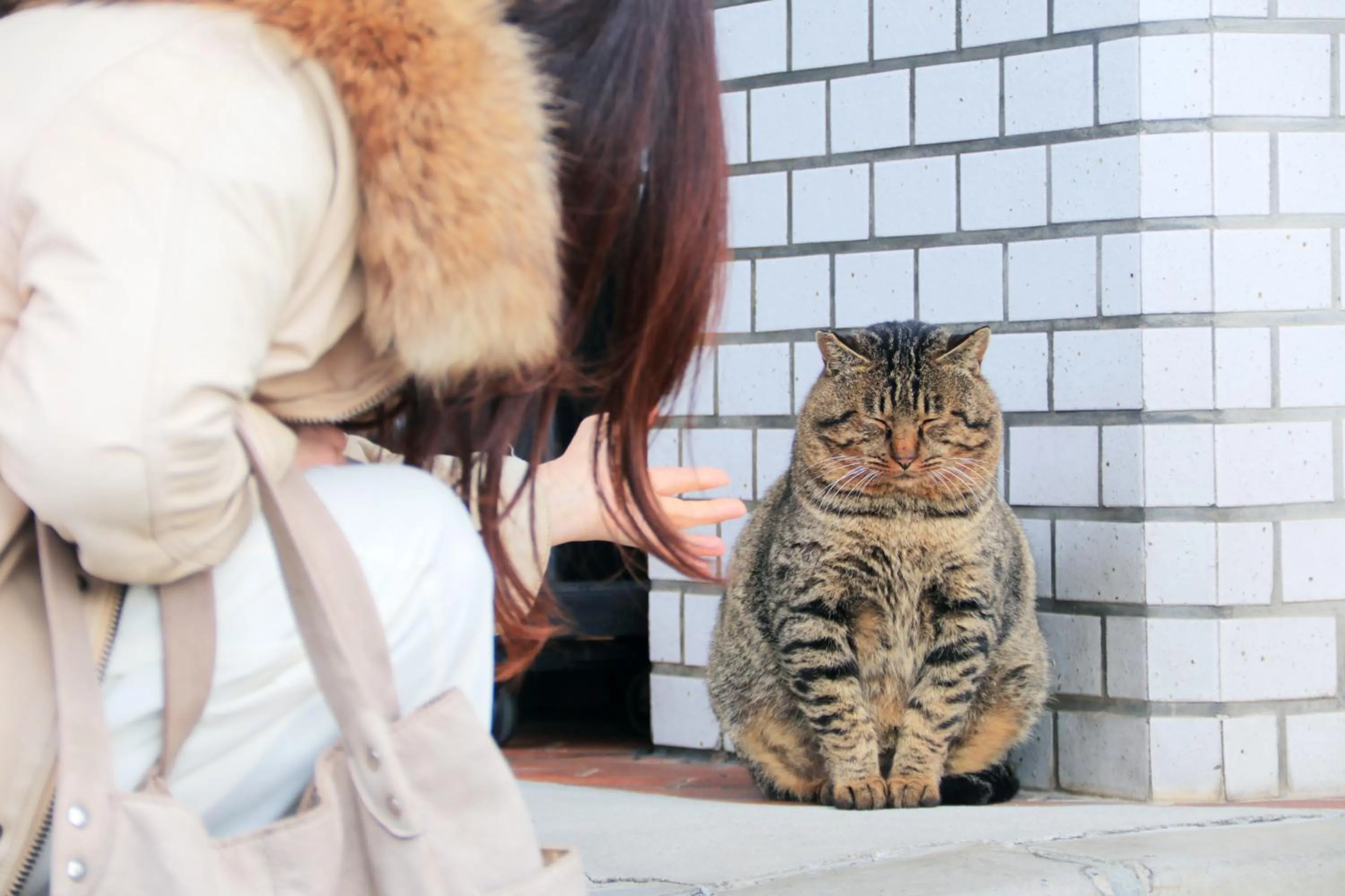 Nearby landmark in Villa Izumoya