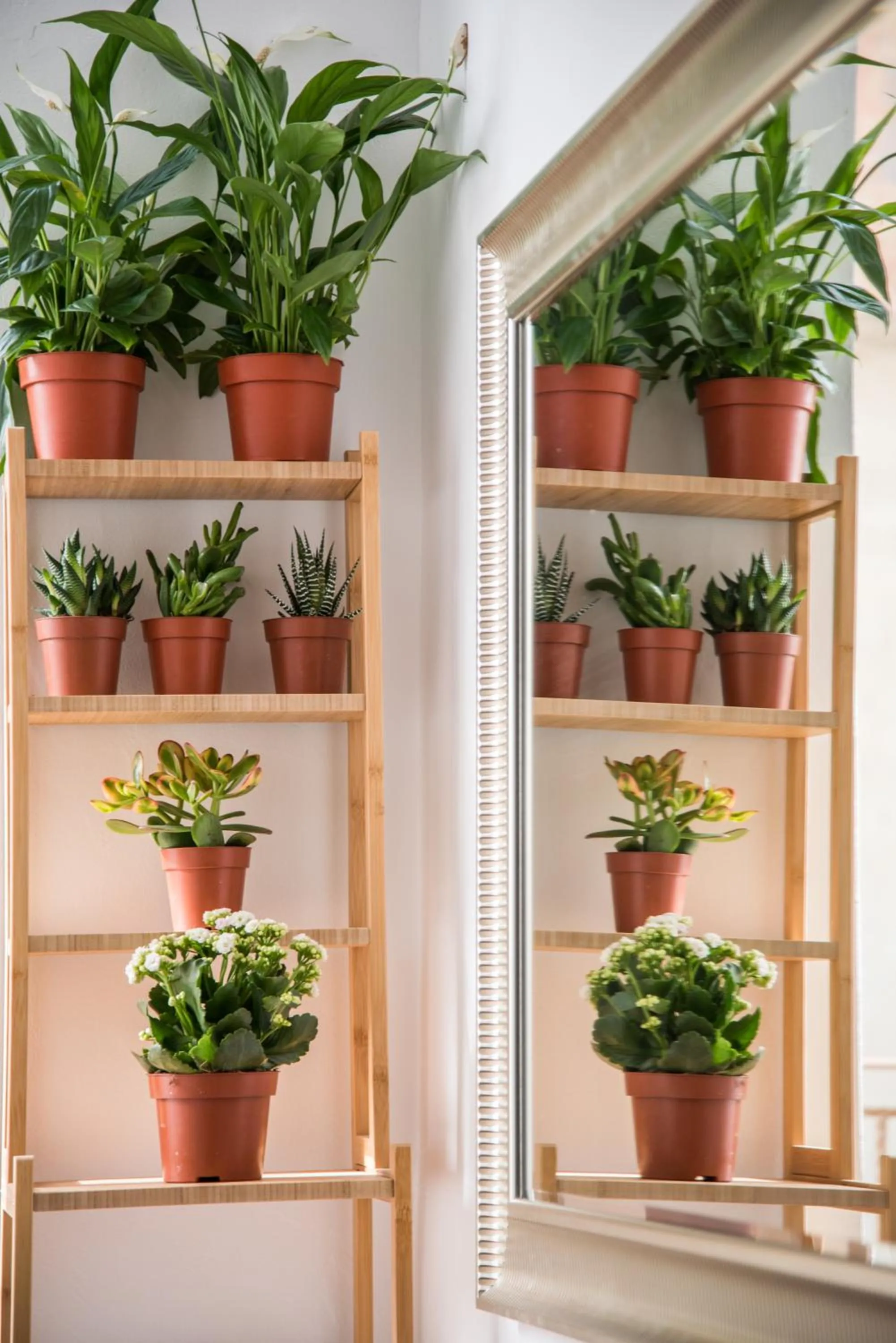 Rastoni Athens Suites near Acropolis at Tsatsou street